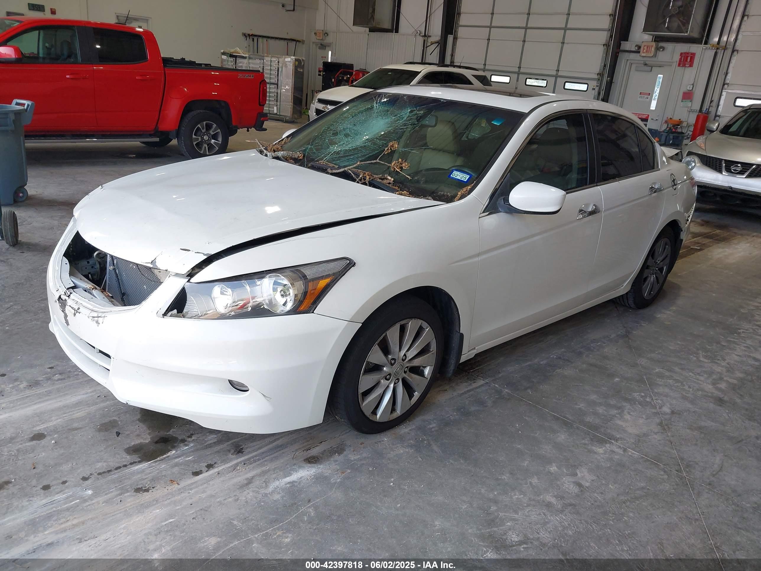 HONDA ACCORD image 2