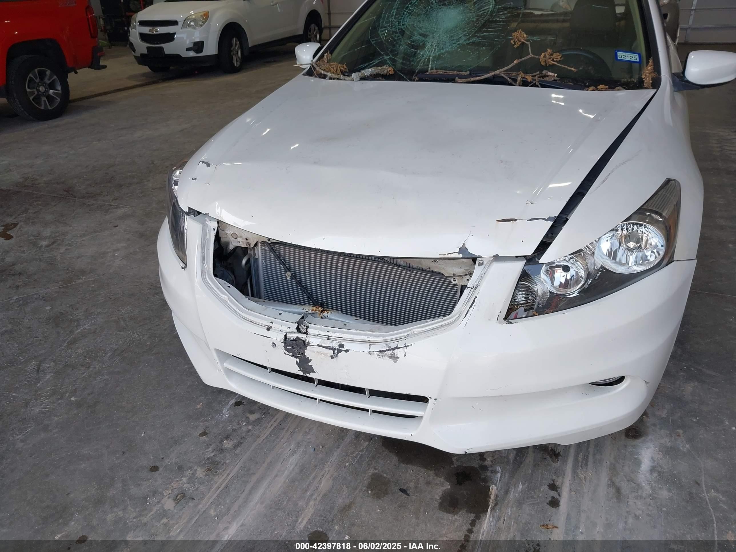 HONDA ACCORD image 6
