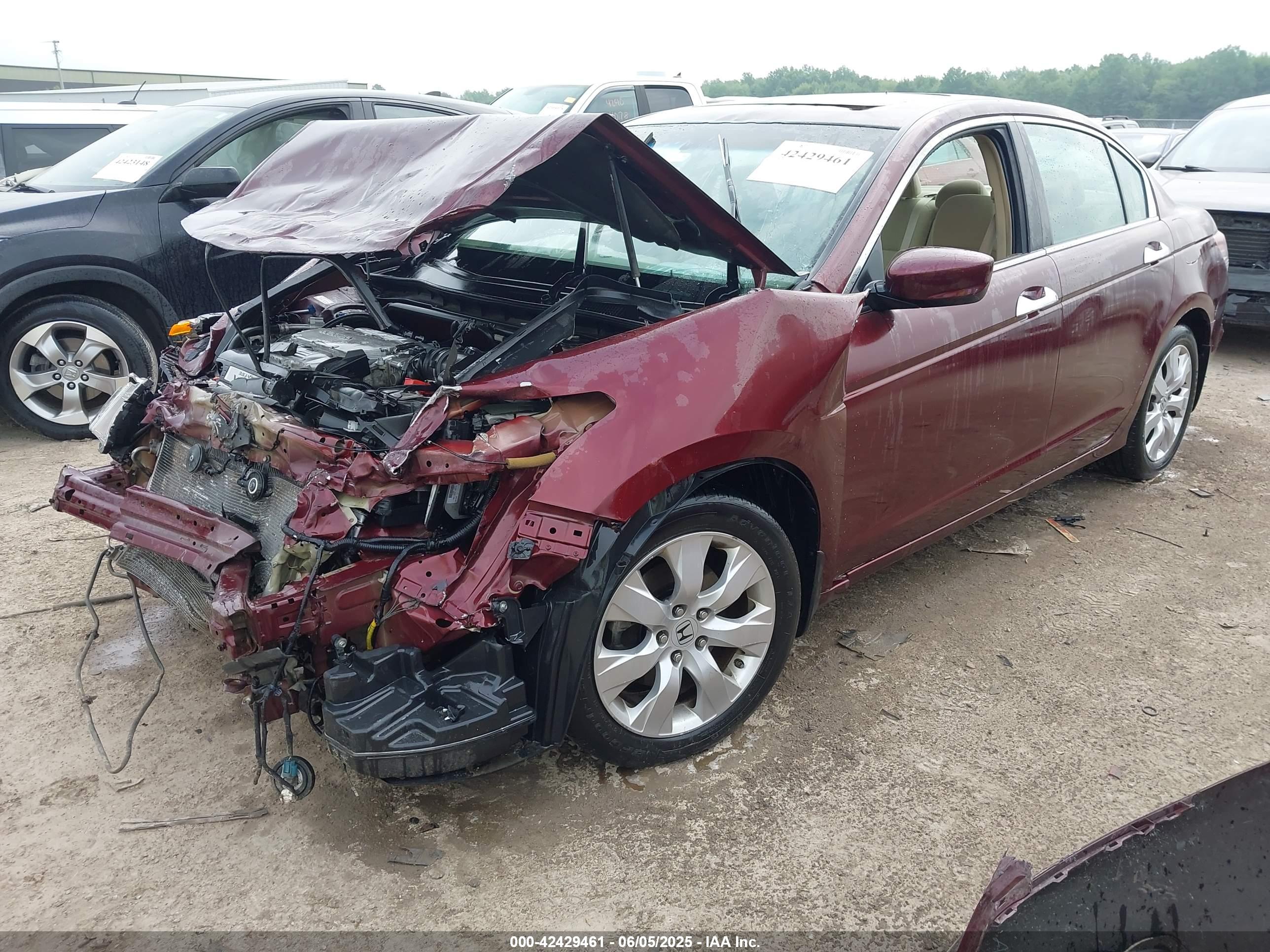 HONDA ACCORD image 2