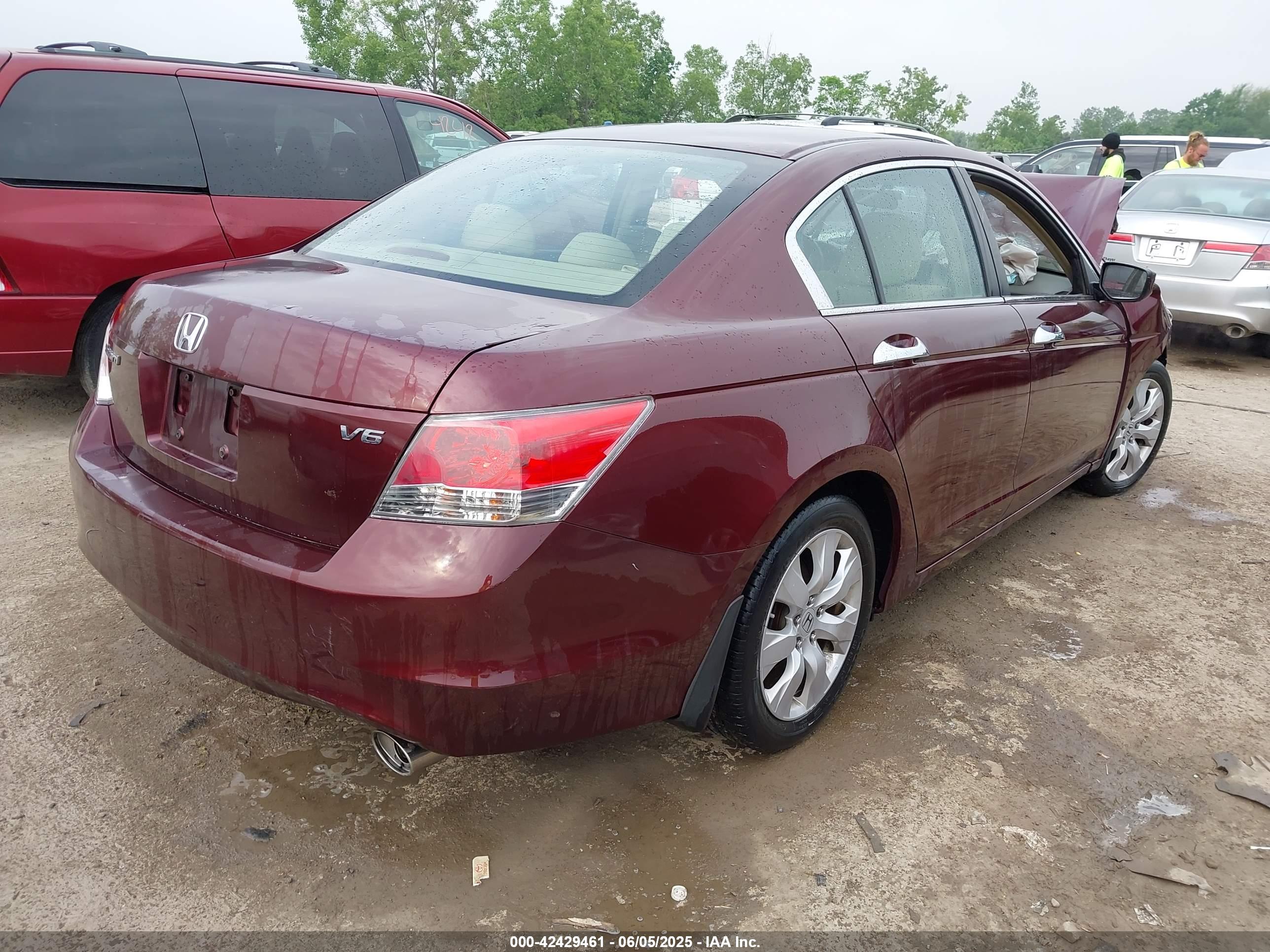 HONDA ACCORD image 4