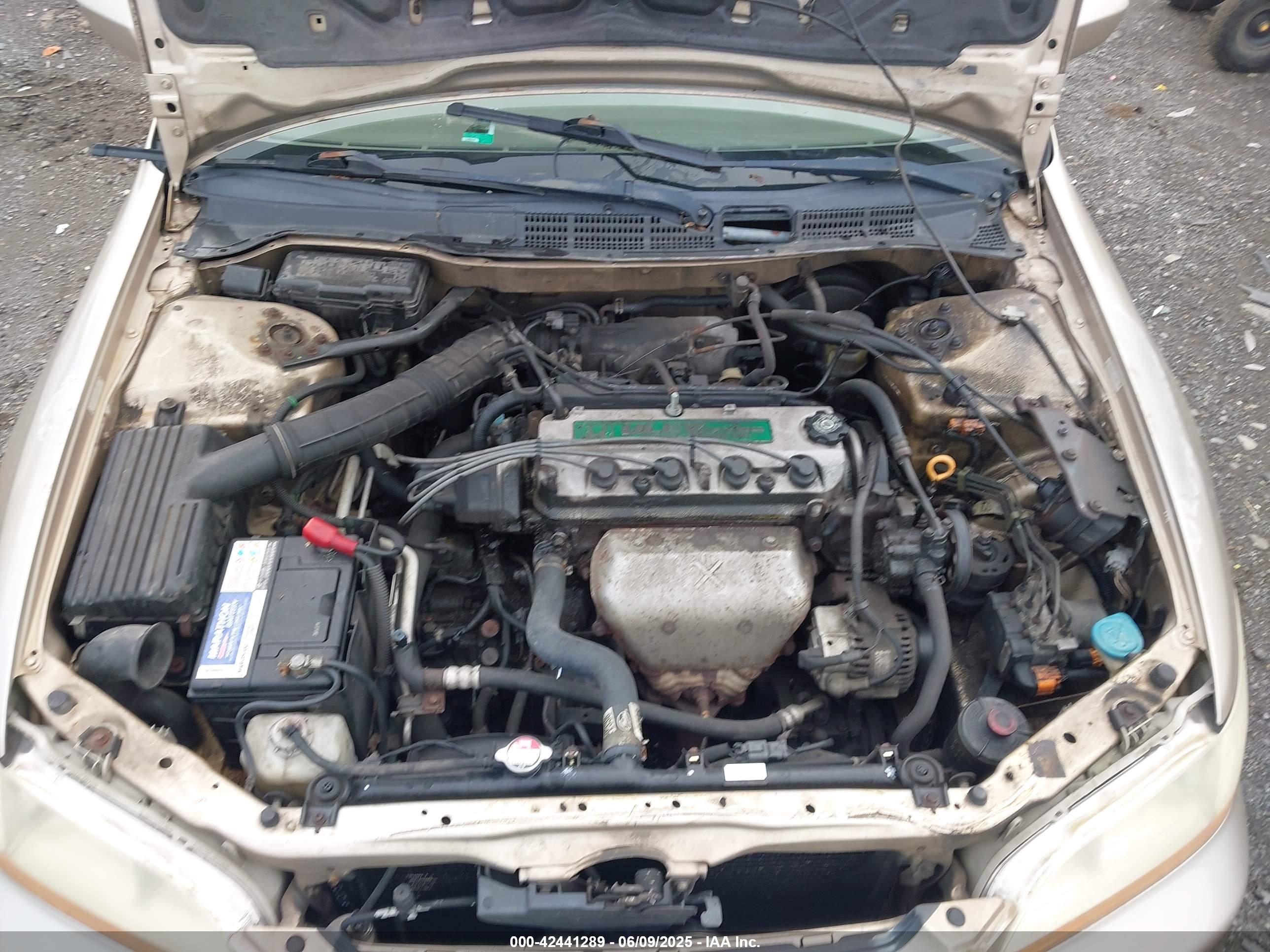 HONDA ACCORD image 10