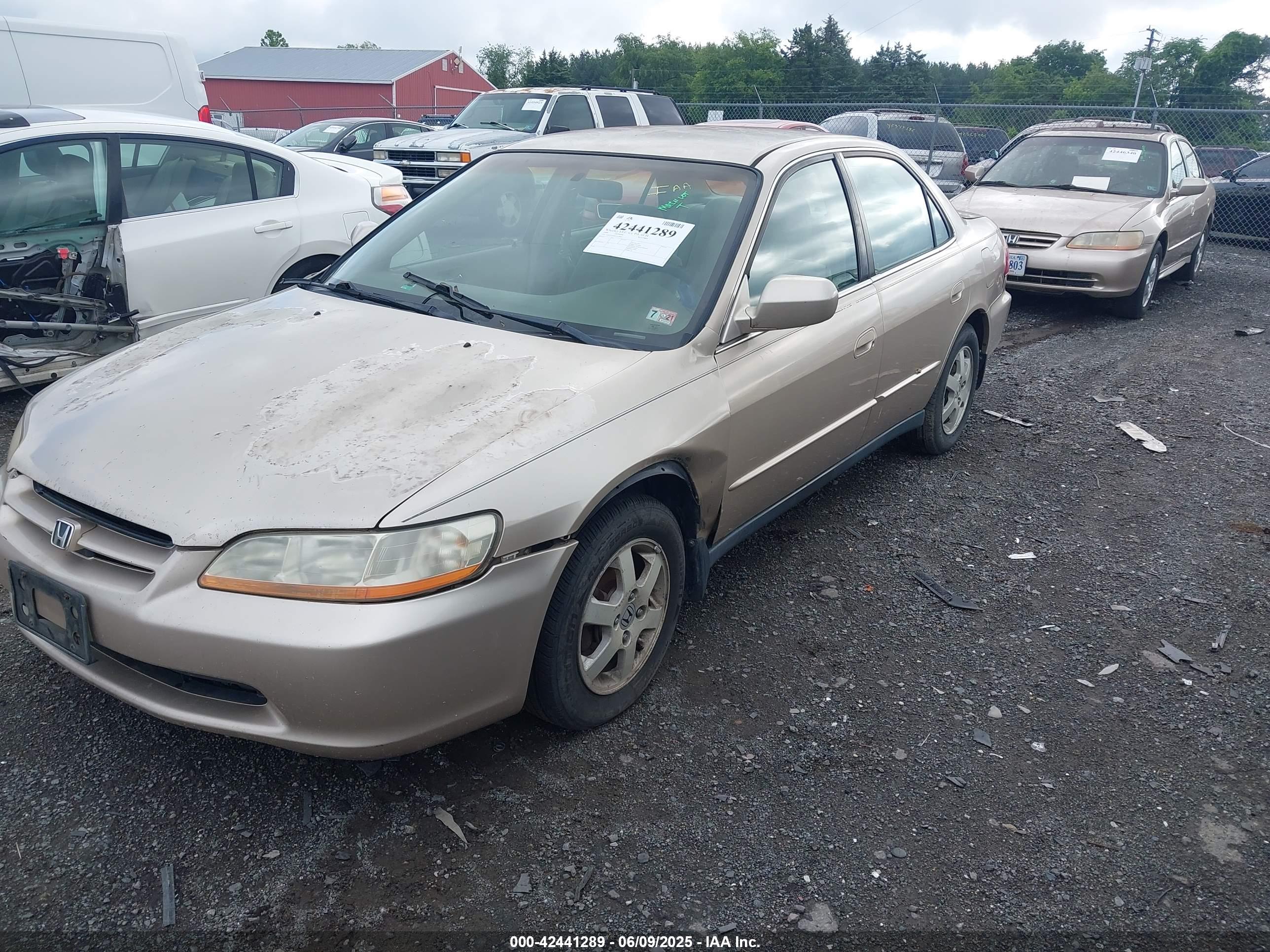 HONDA ACCORD image 2