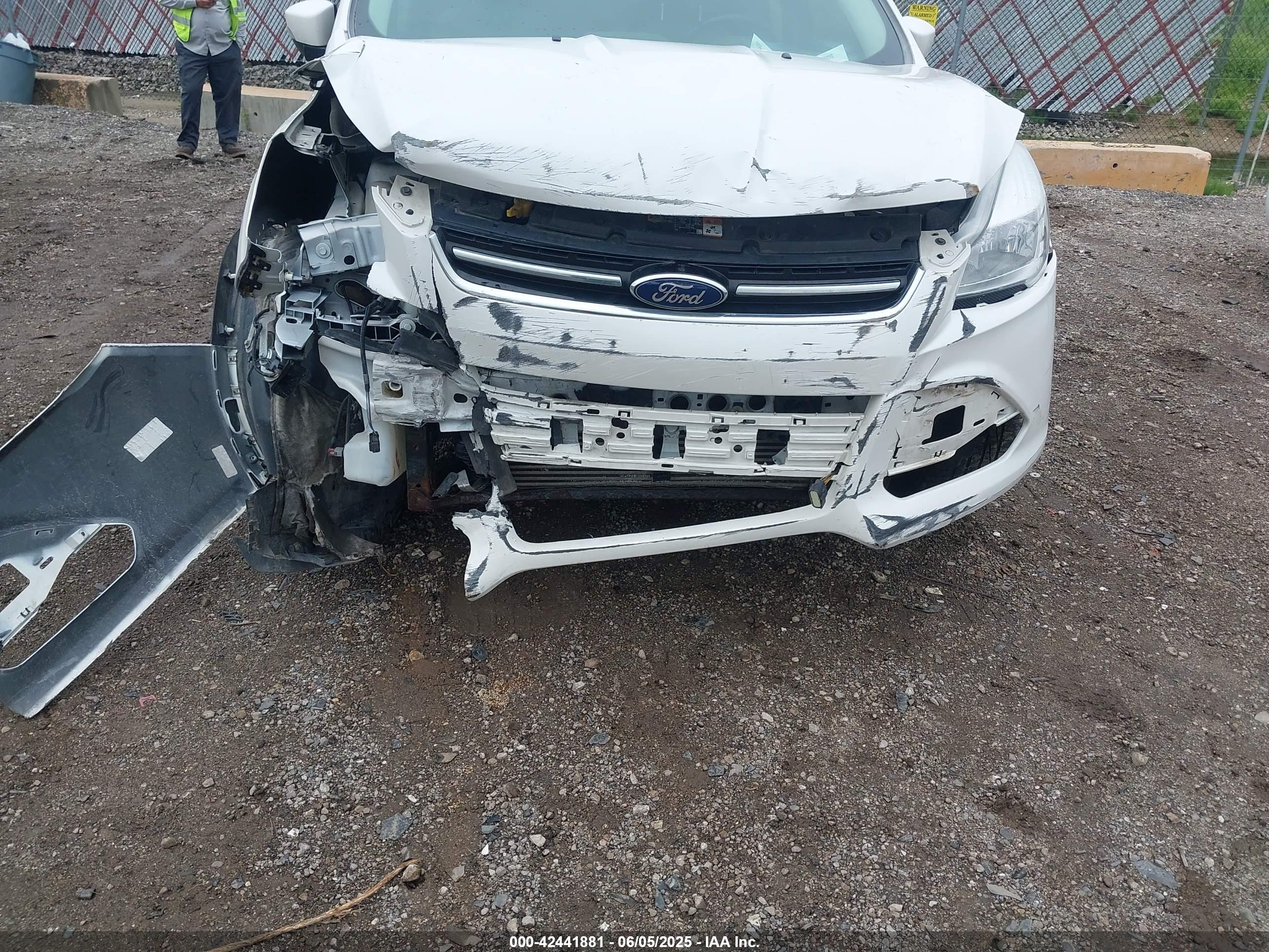FORD ESCAPE image 6