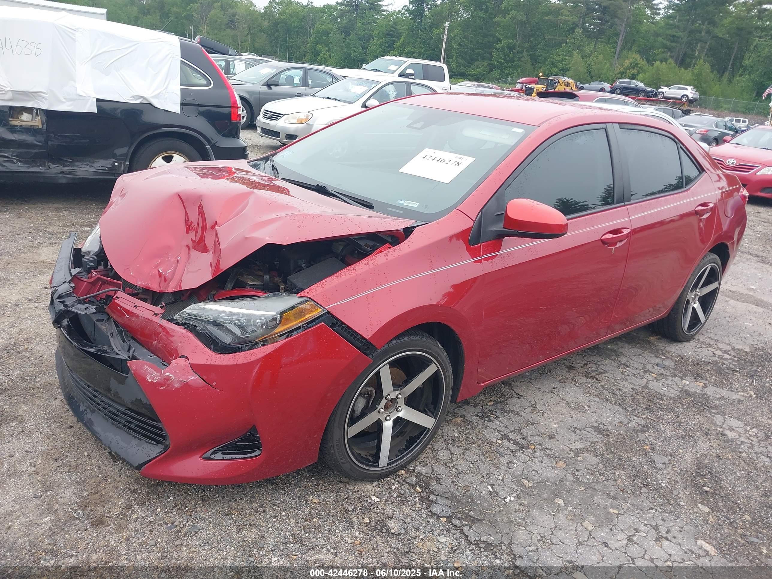 TOYOTA COROLLA image 2
