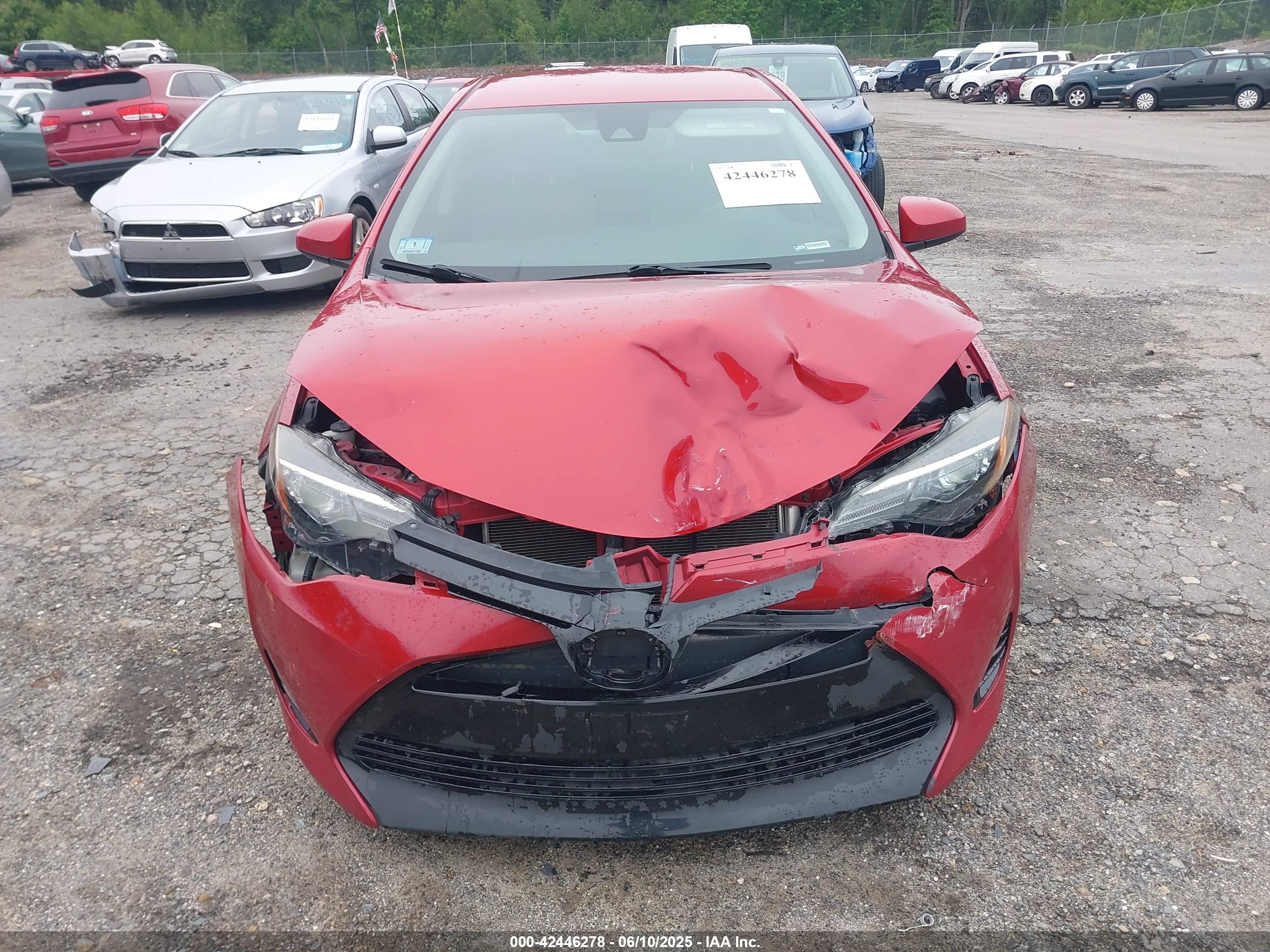 TOYOTA COROLLA image 6