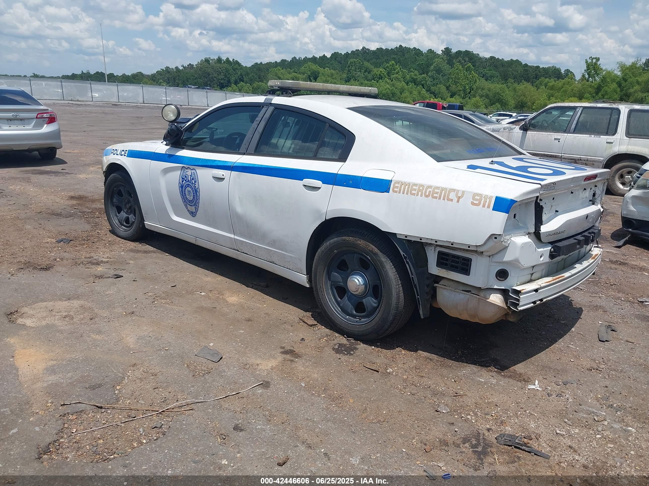 DODGE CHARGER image 3