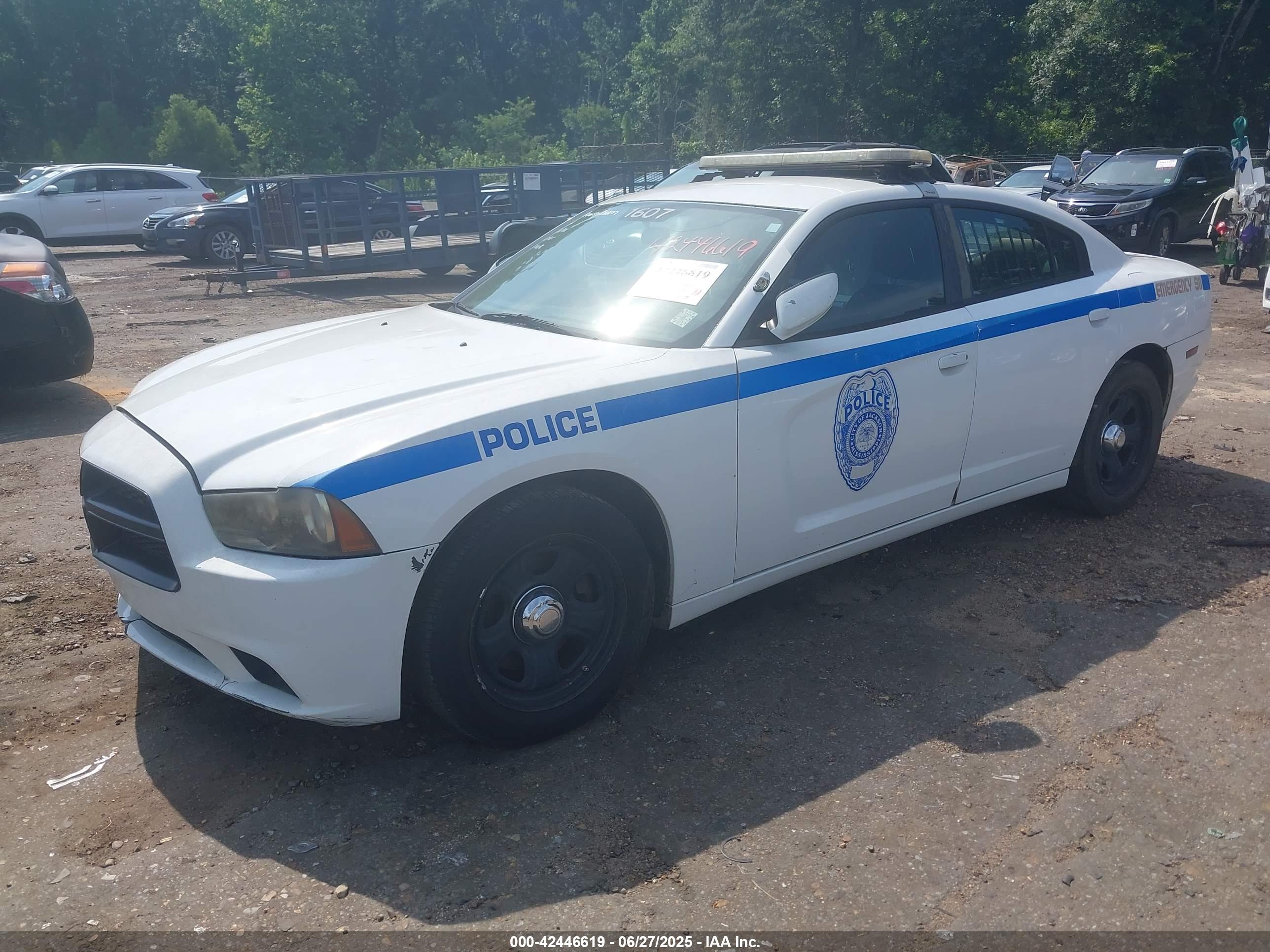 DODGE CHARGER image 2