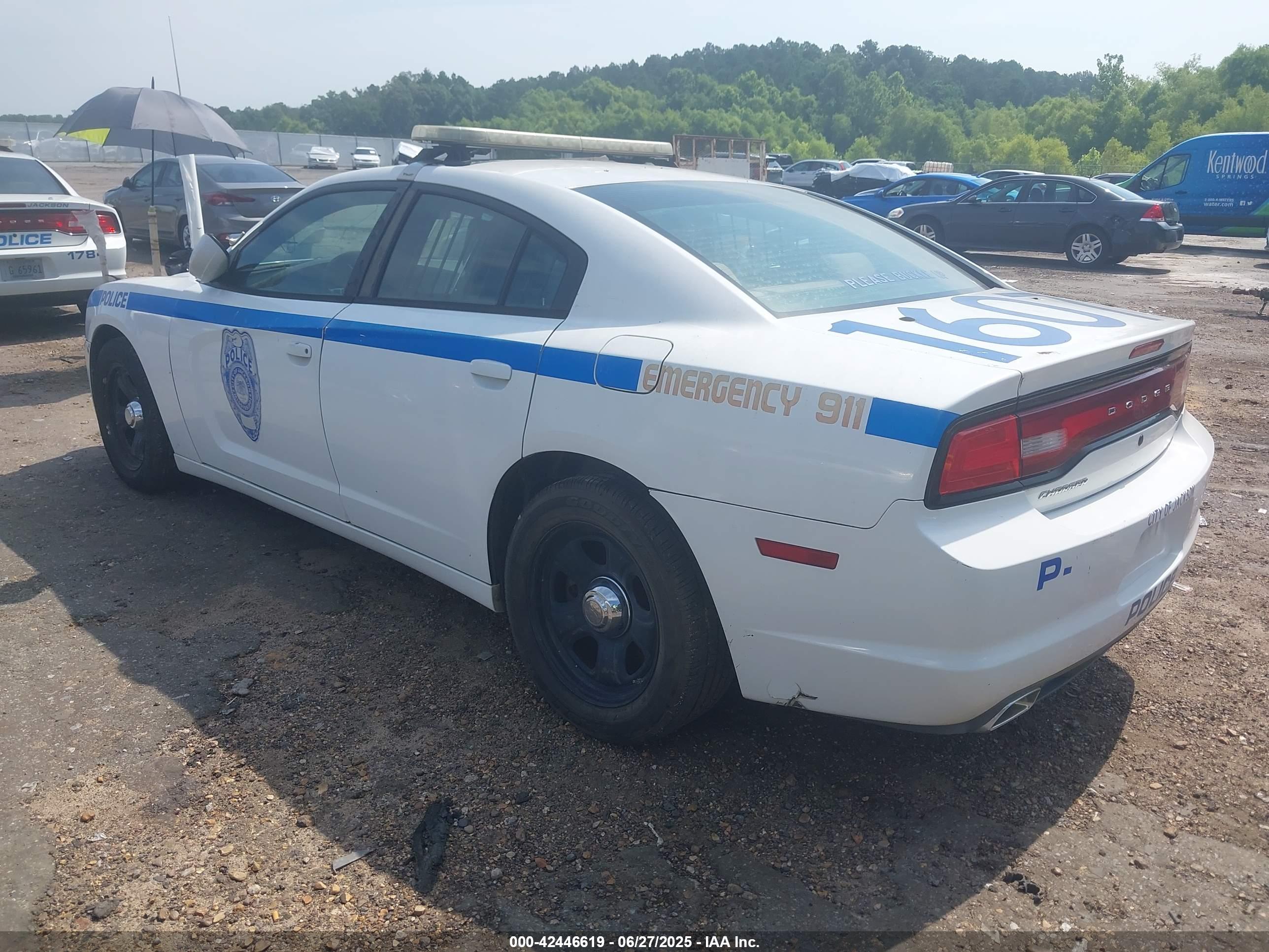 DODGE CHARGER image 3