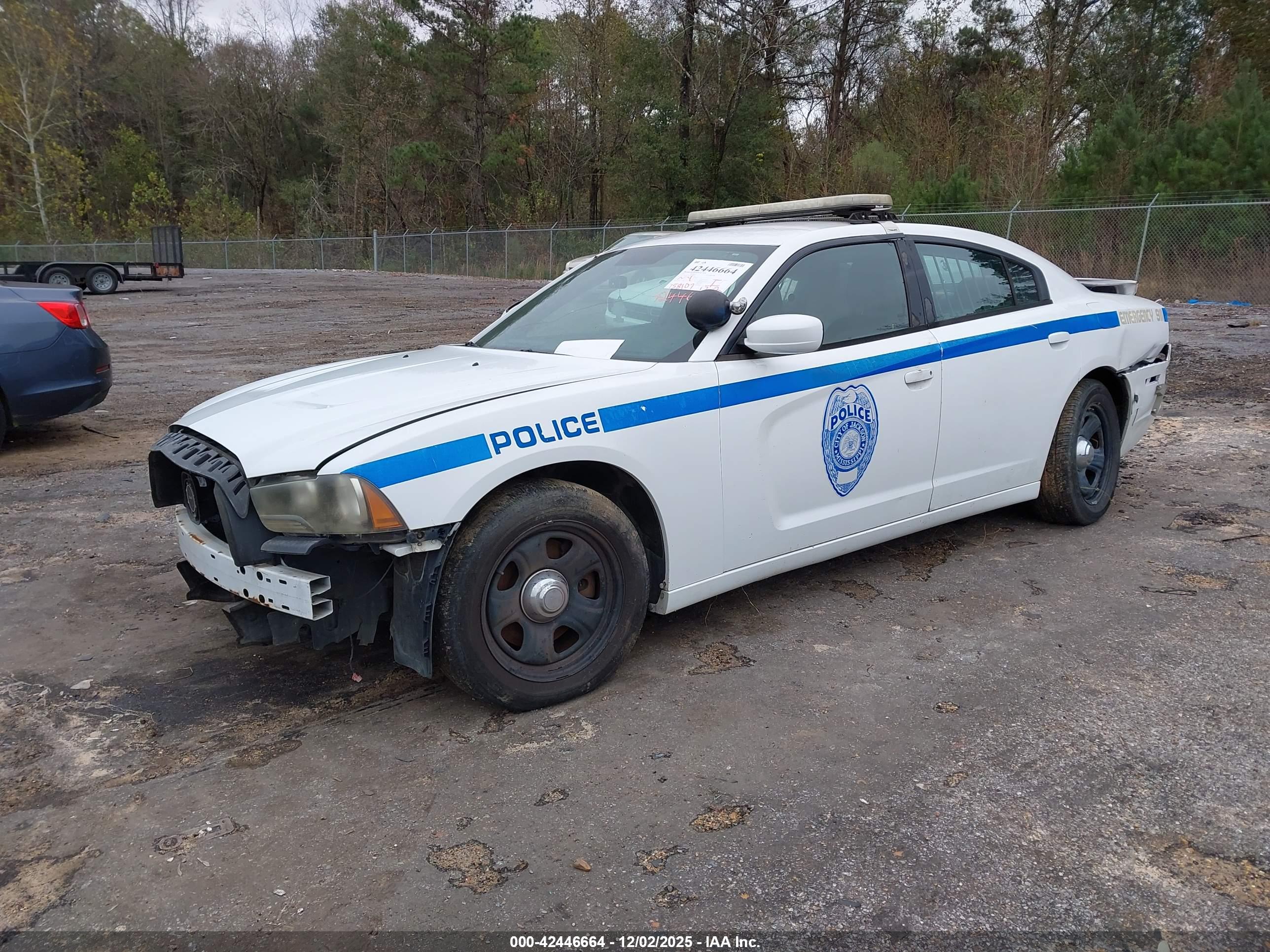DODGE CHARGER image 2