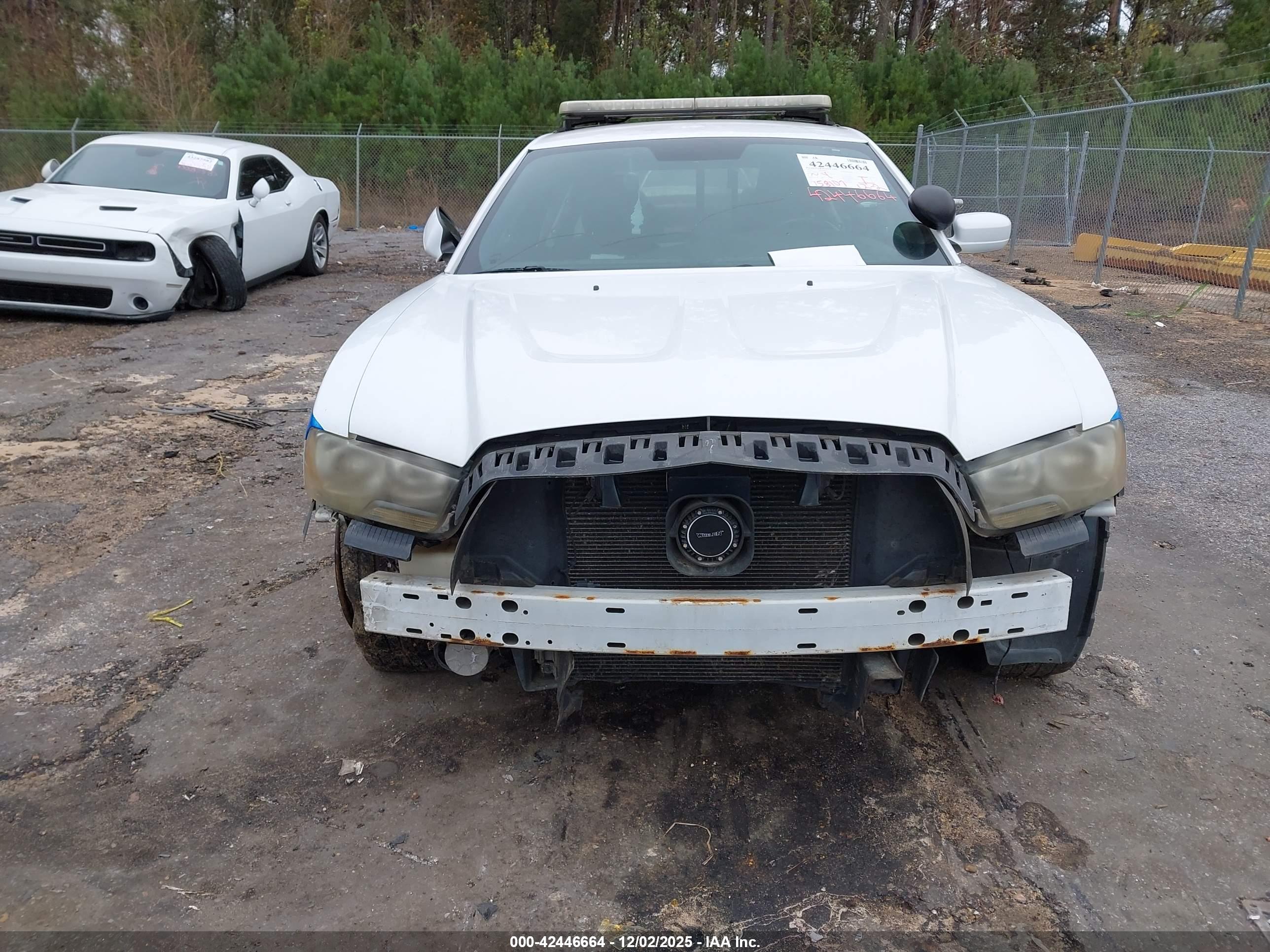 DODGE CHARGER image 6