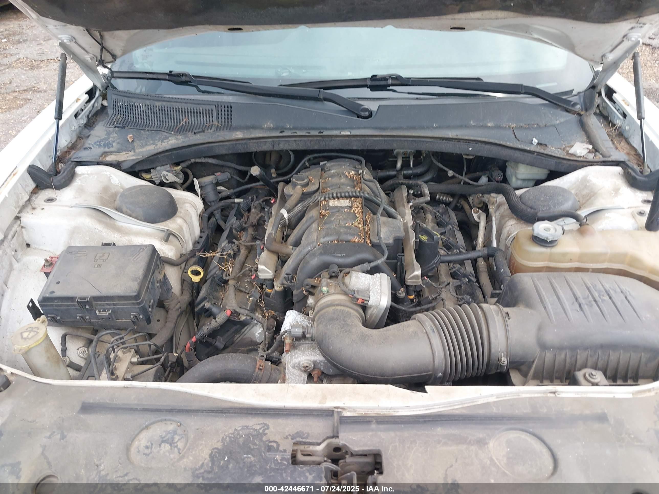 DODGE CHARGER image 10