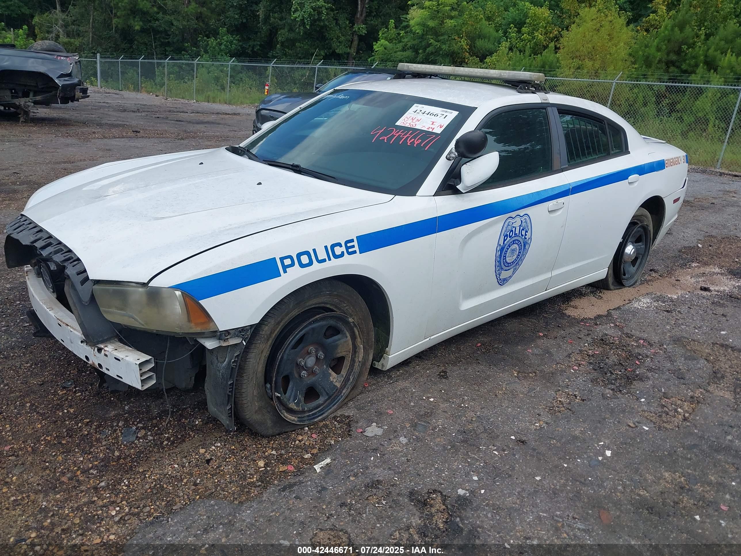DODGE CHARGER image 2