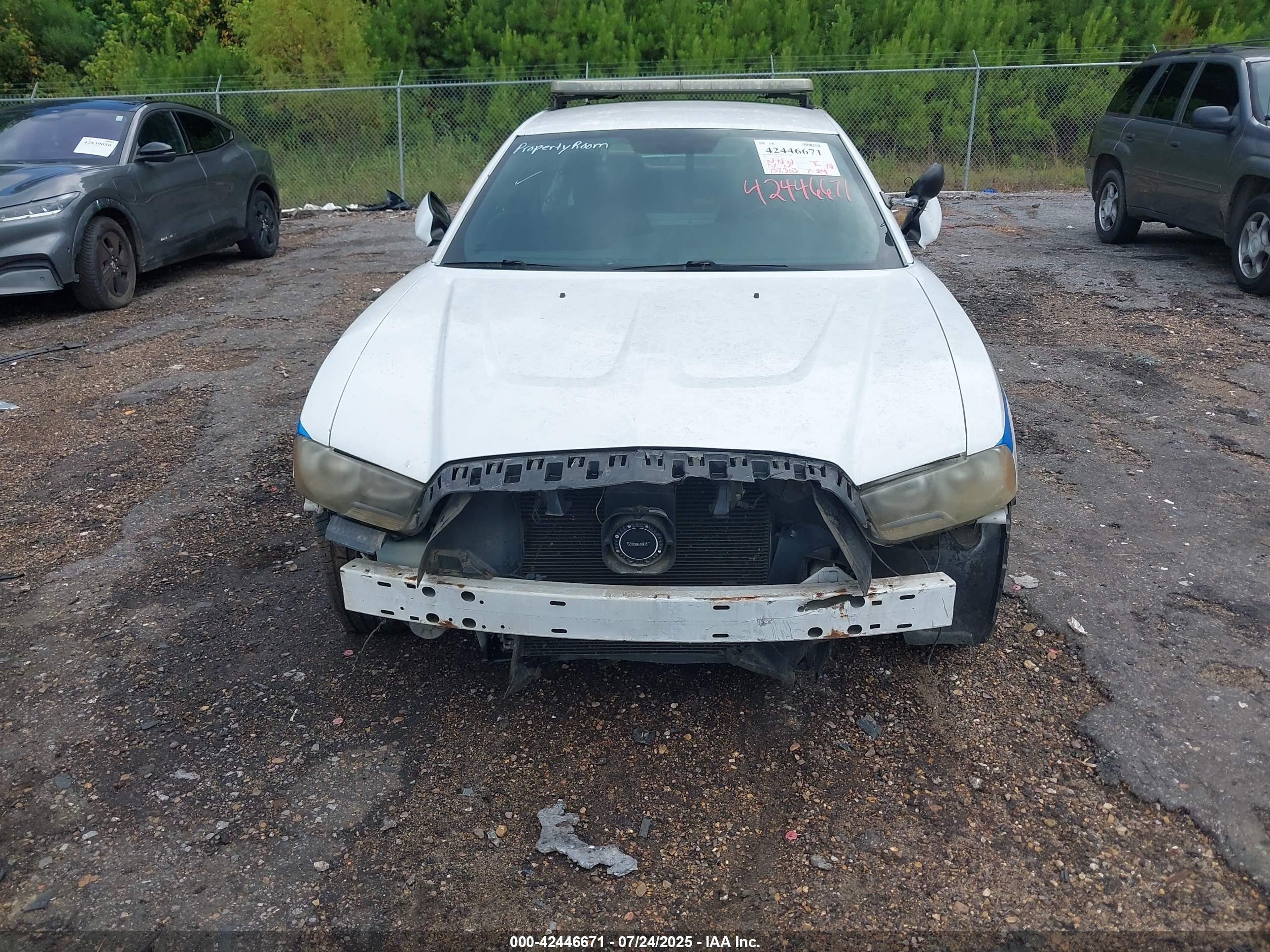 DODGE CHARGER image 6