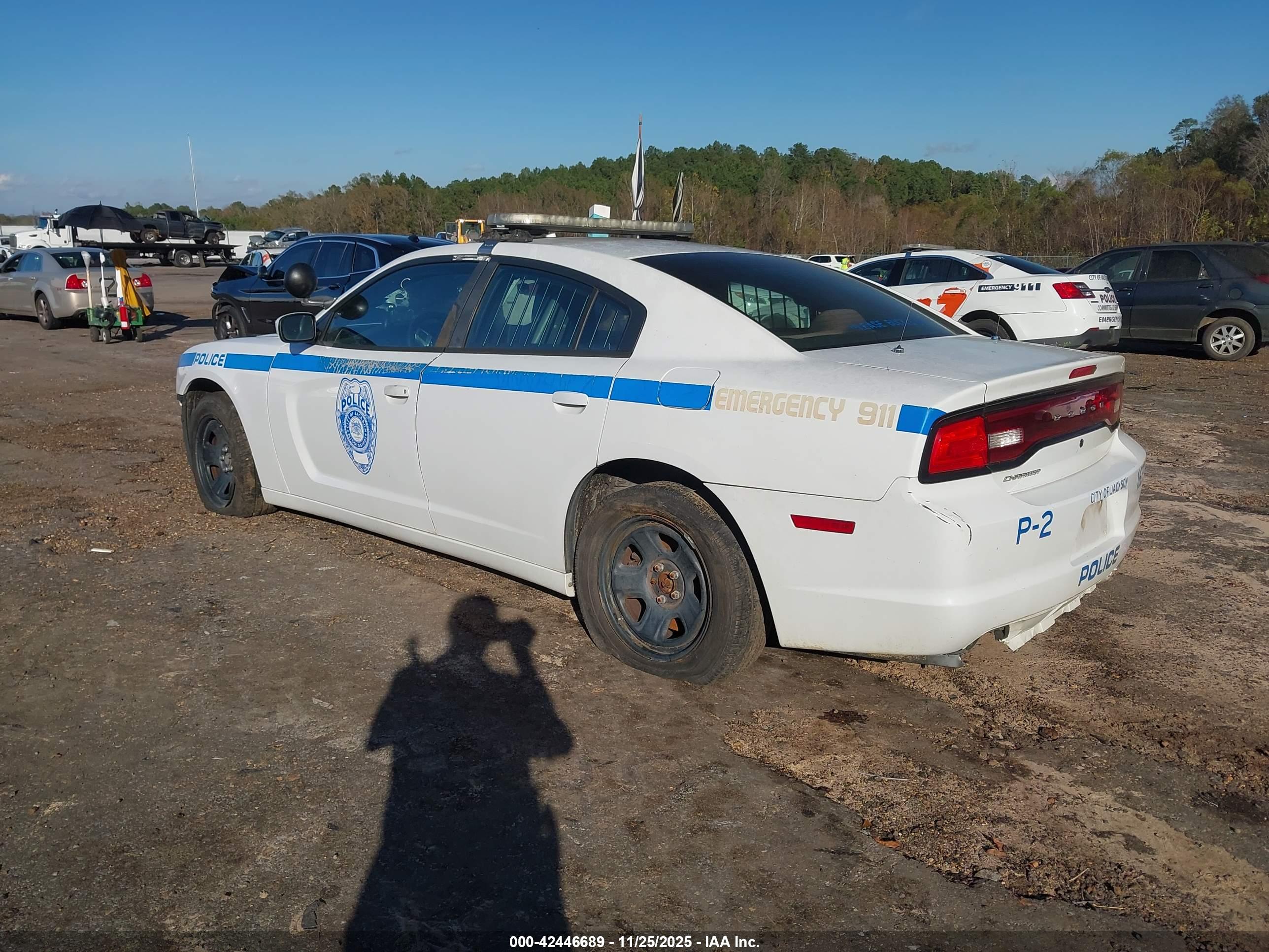 DODGE CHARGER image 3