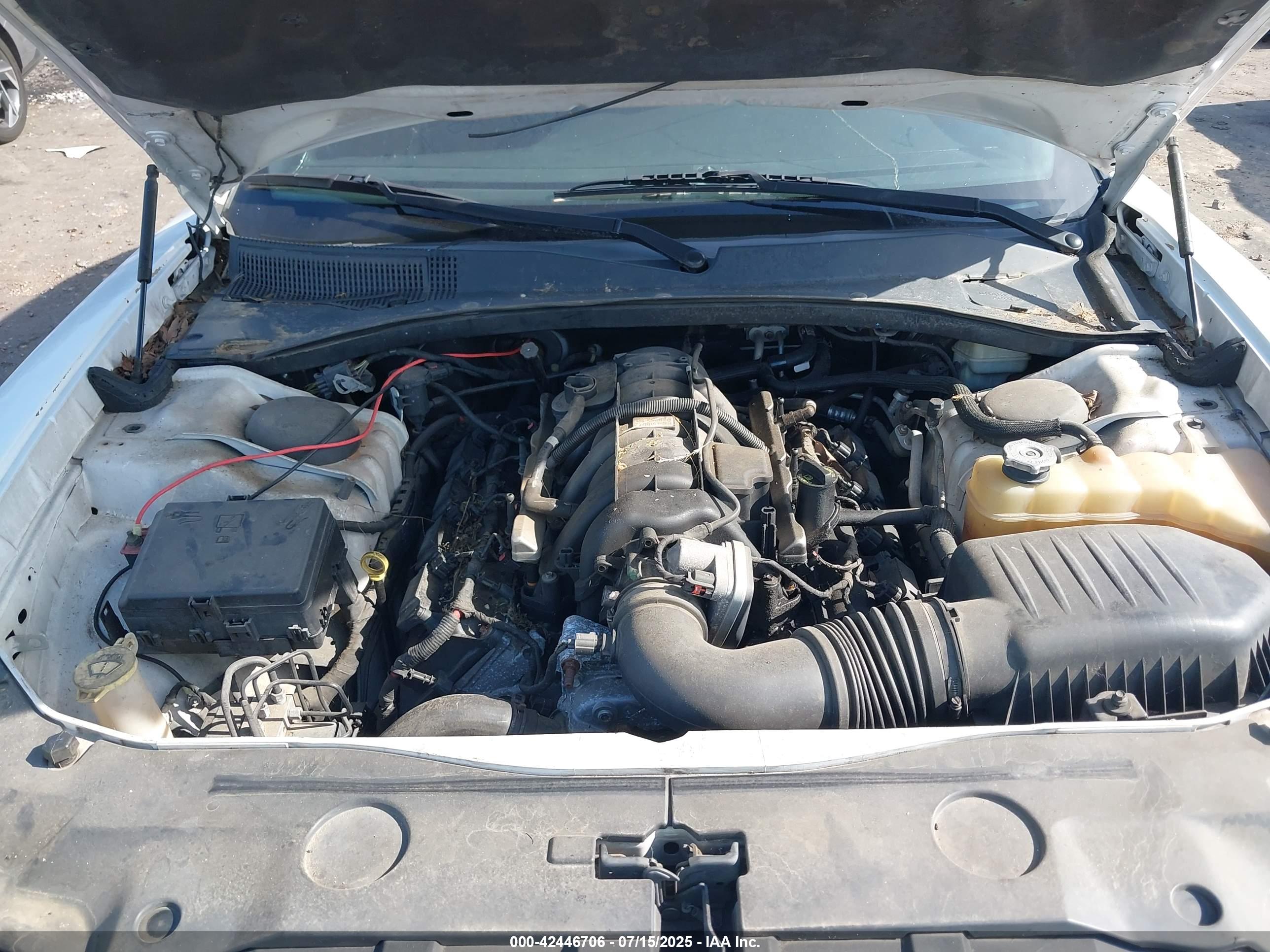 DODGE CHARGER image 10