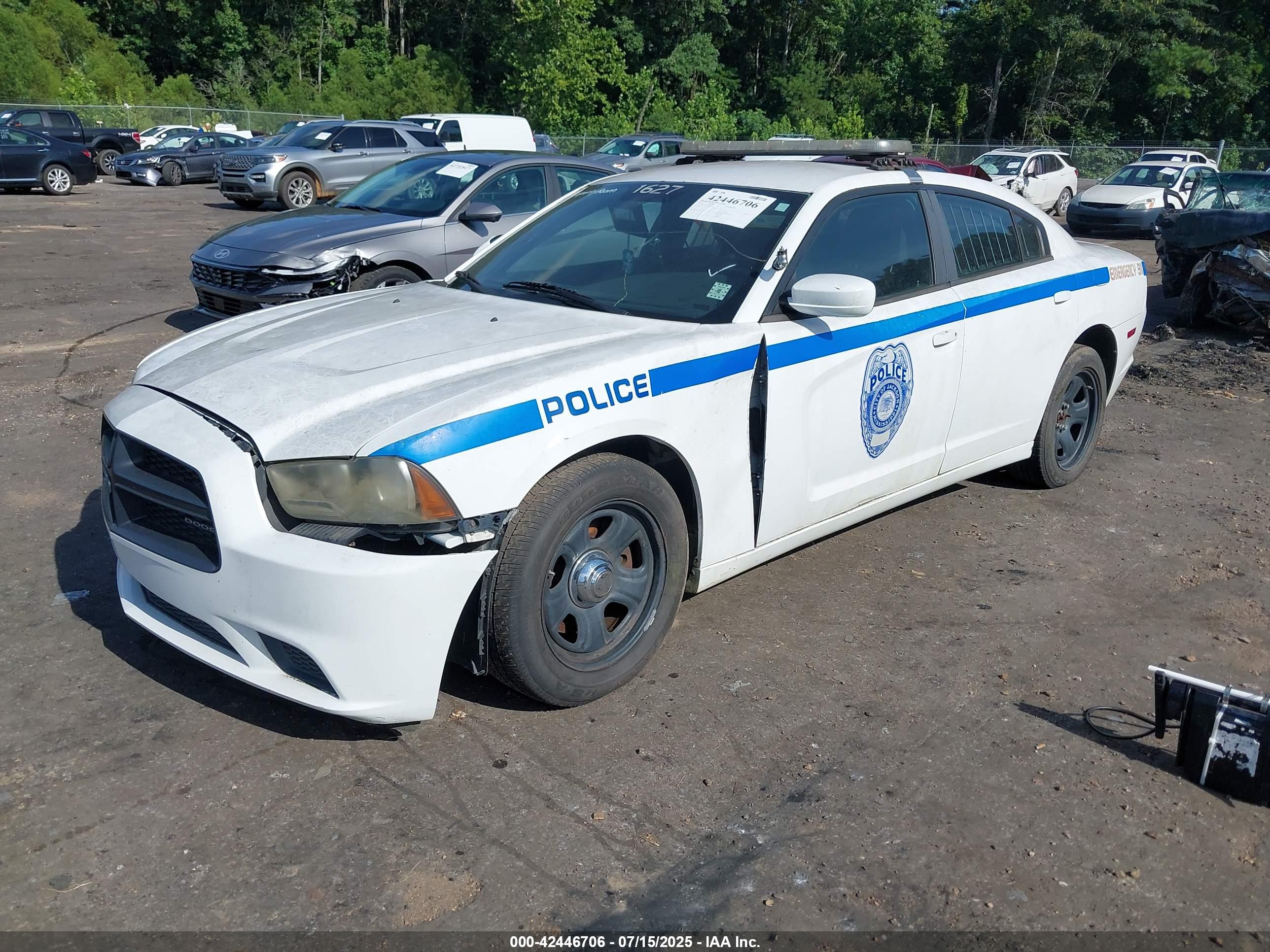 DODGE CHARGER image 2