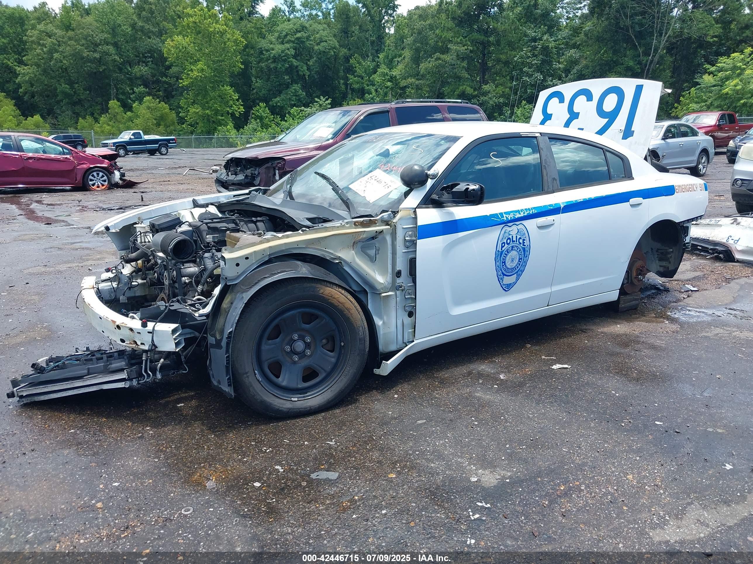 DODGE CHARGER image 2