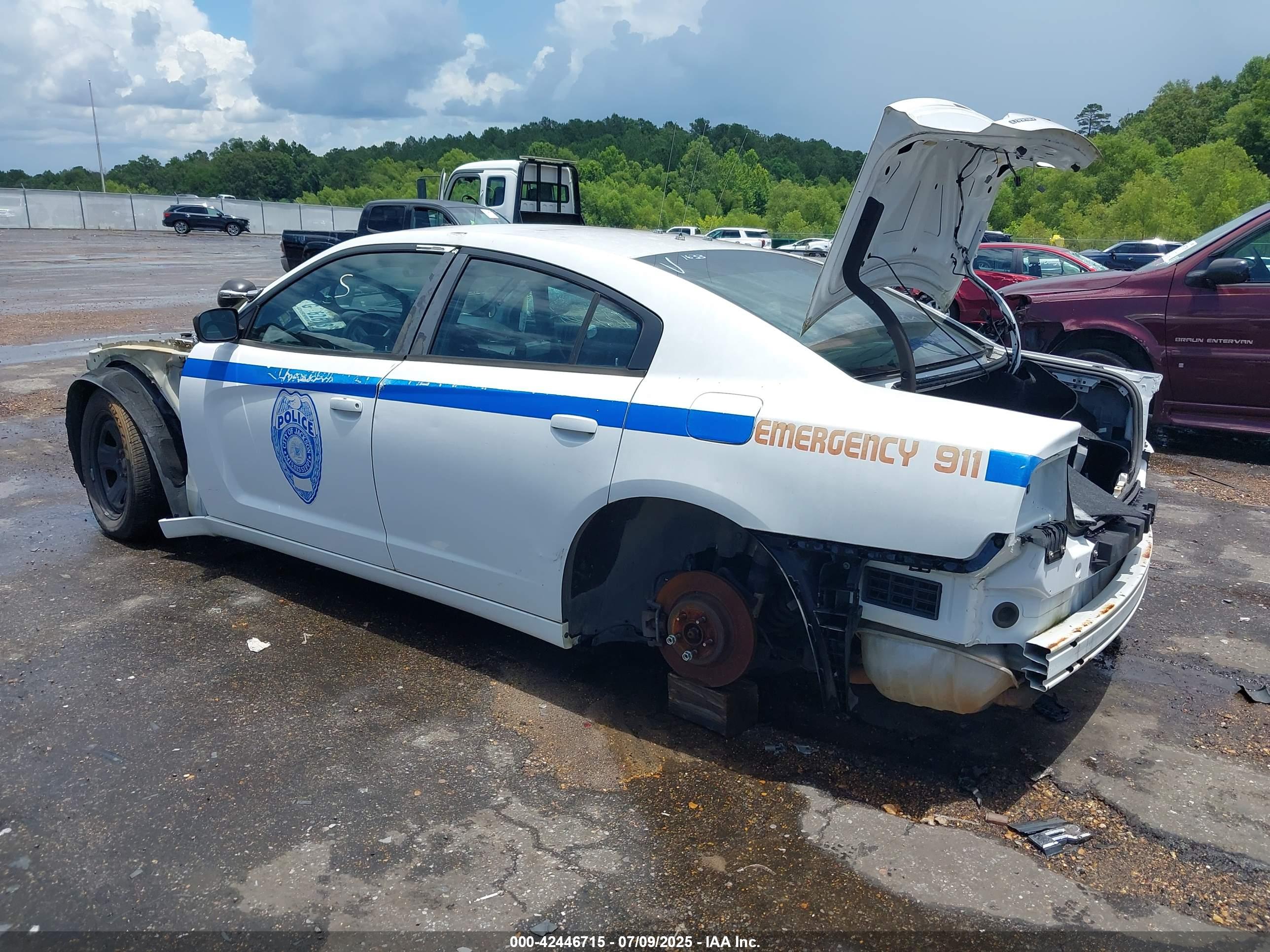 DODGE CHARGER image 3