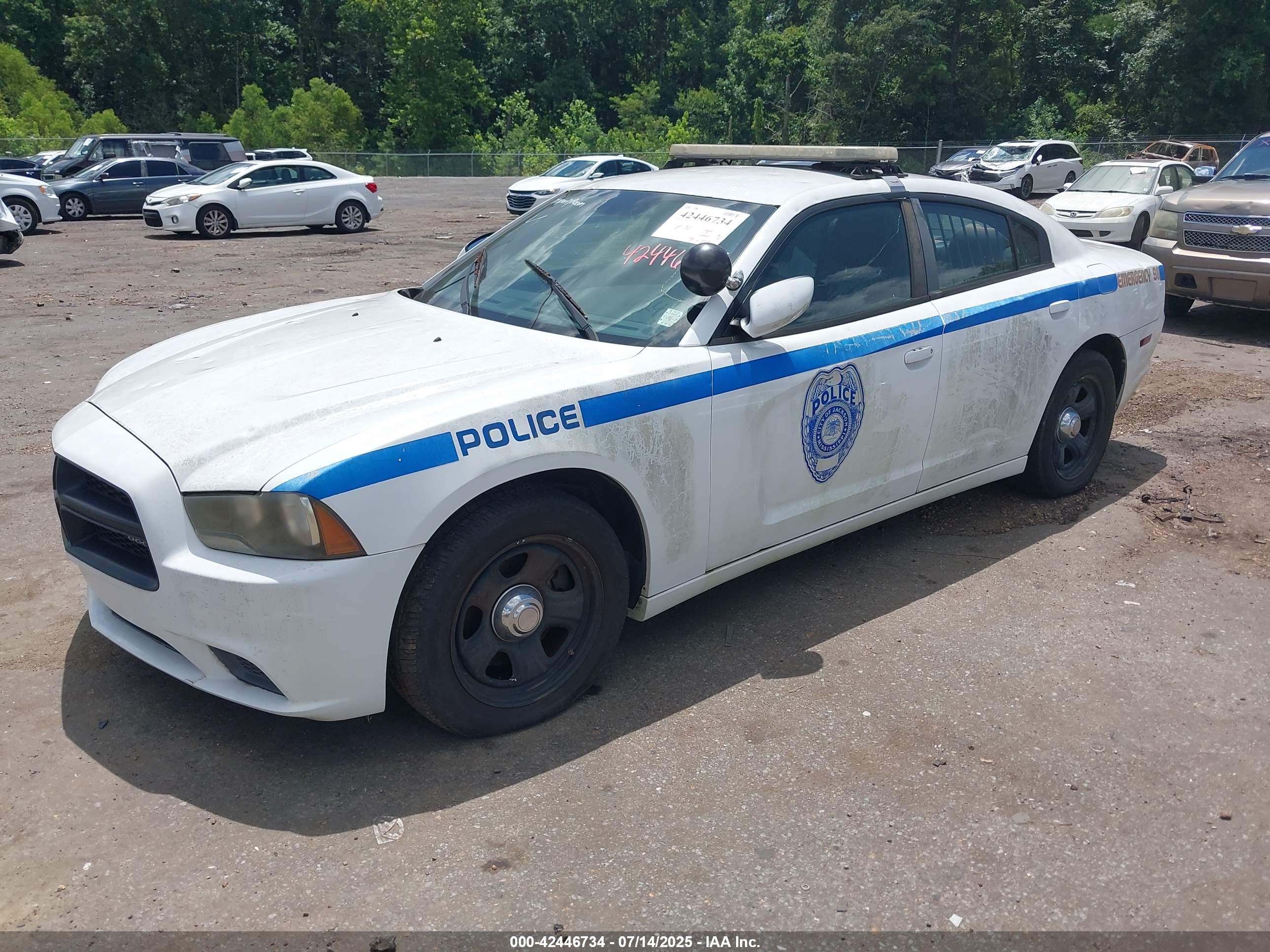 DODGE CHARGER image 2