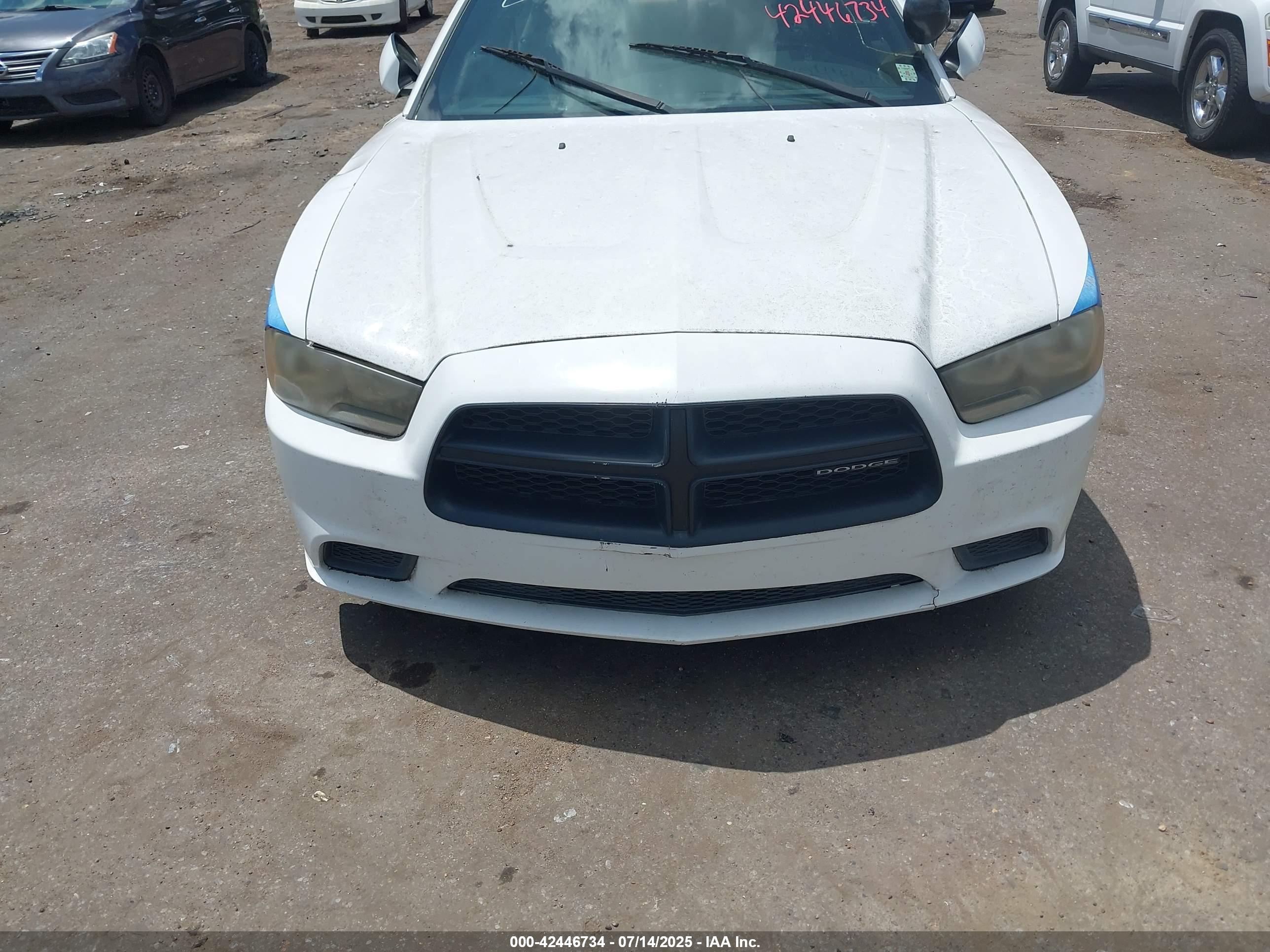 DODGE CHARGER image 6