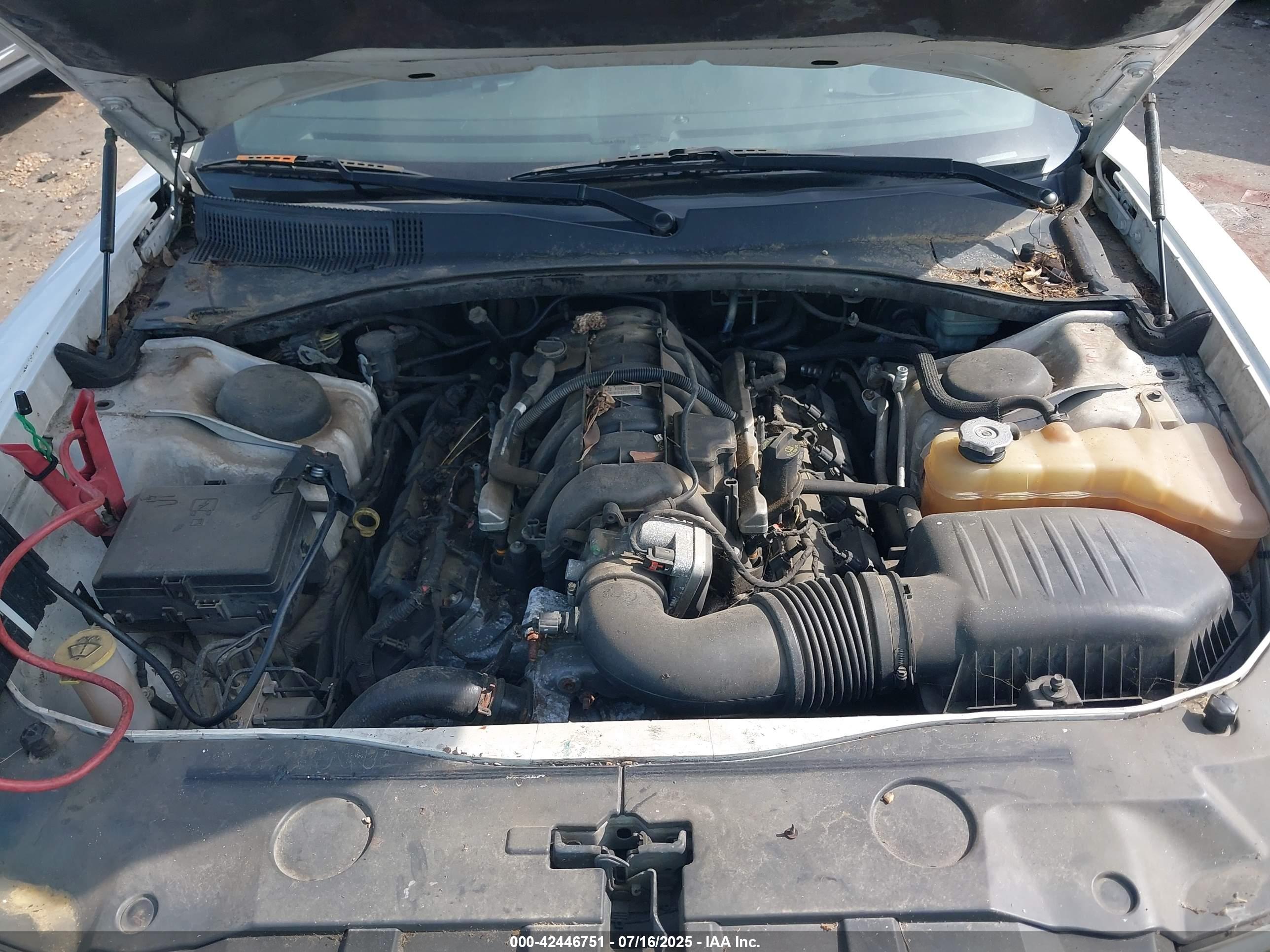 DODGE CHARGER image 10