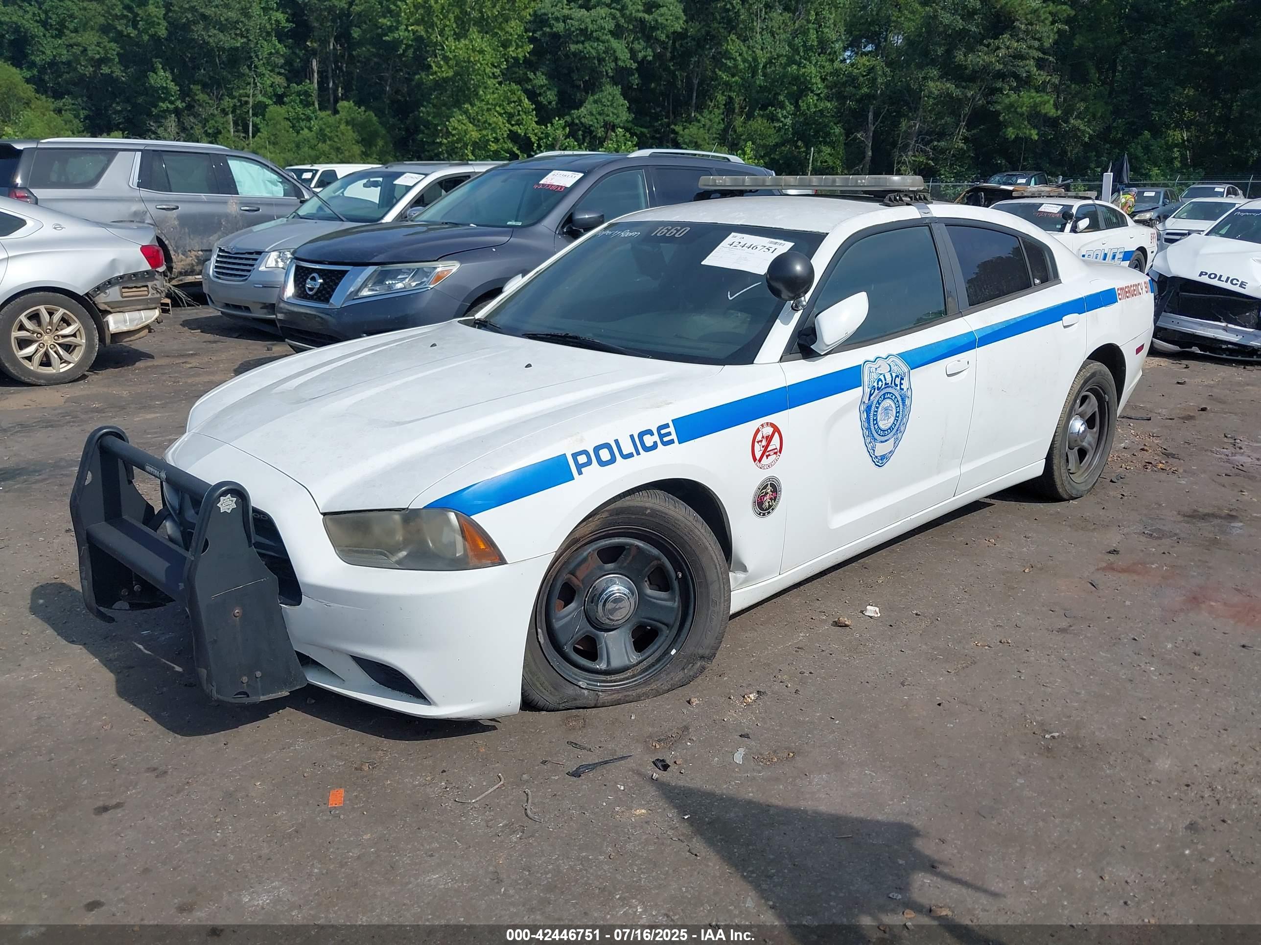 DODGE CHARGER image 2