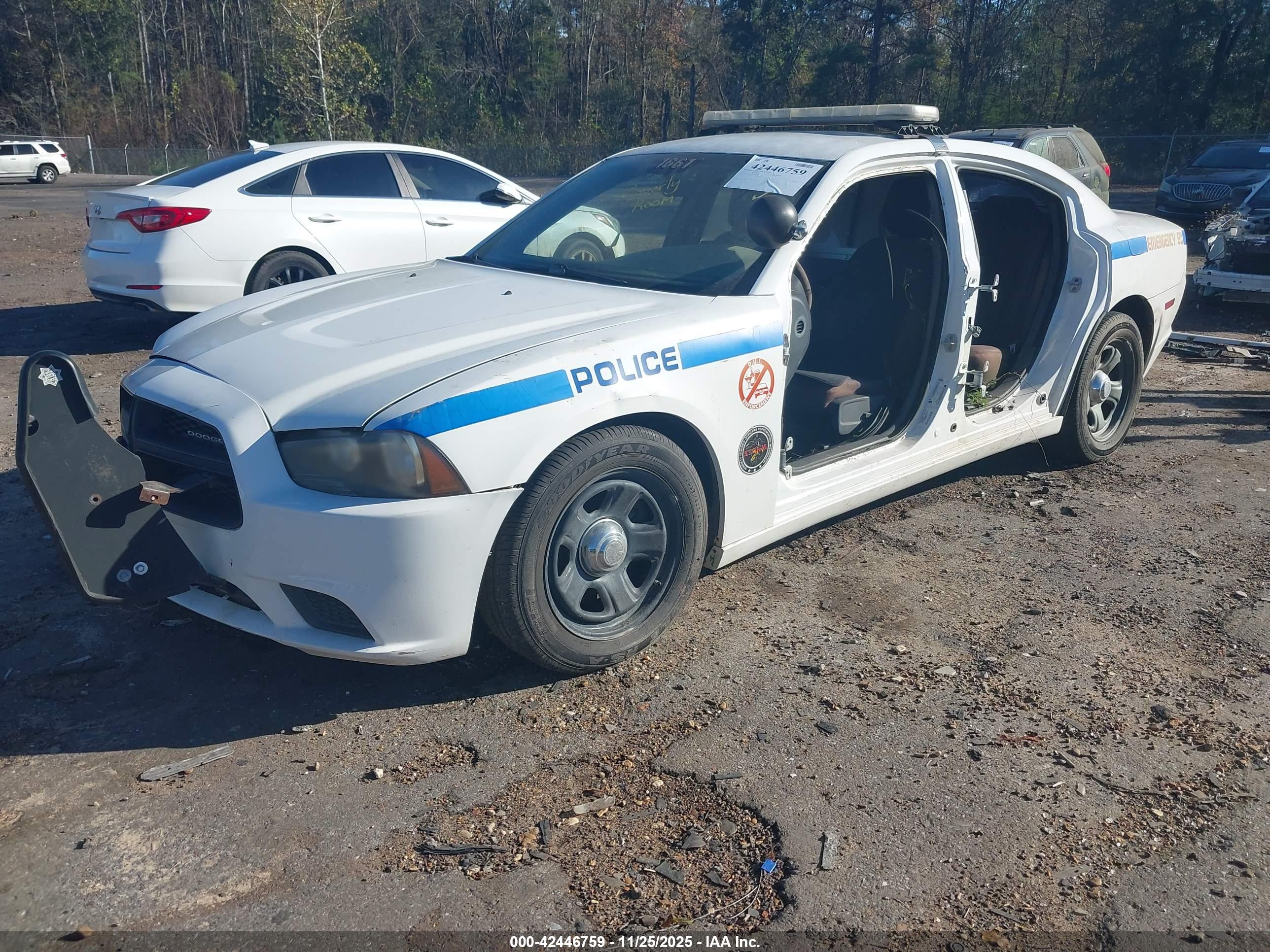 DODGE CHARGER image 2