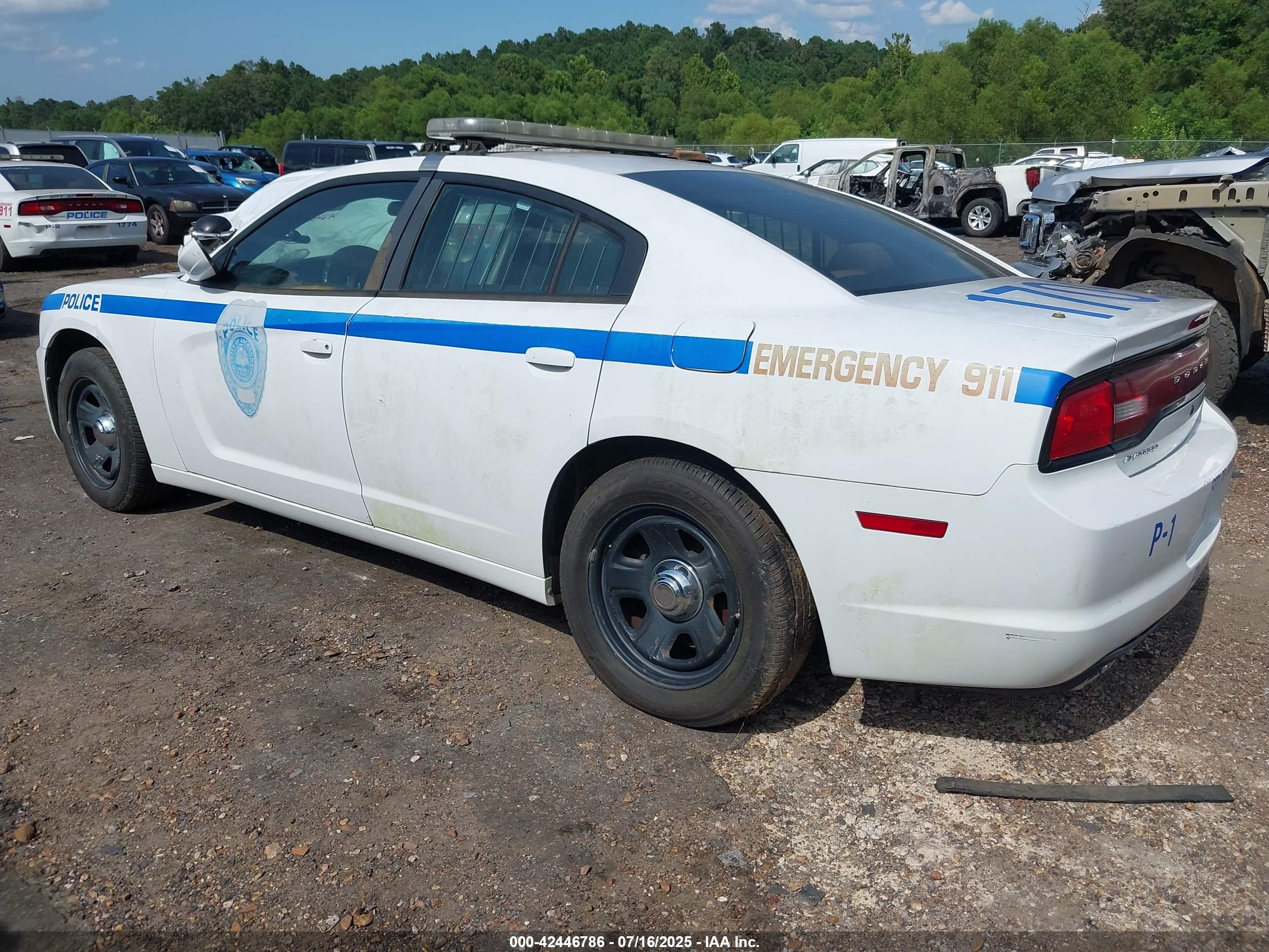 DODGE CHARGER image 3