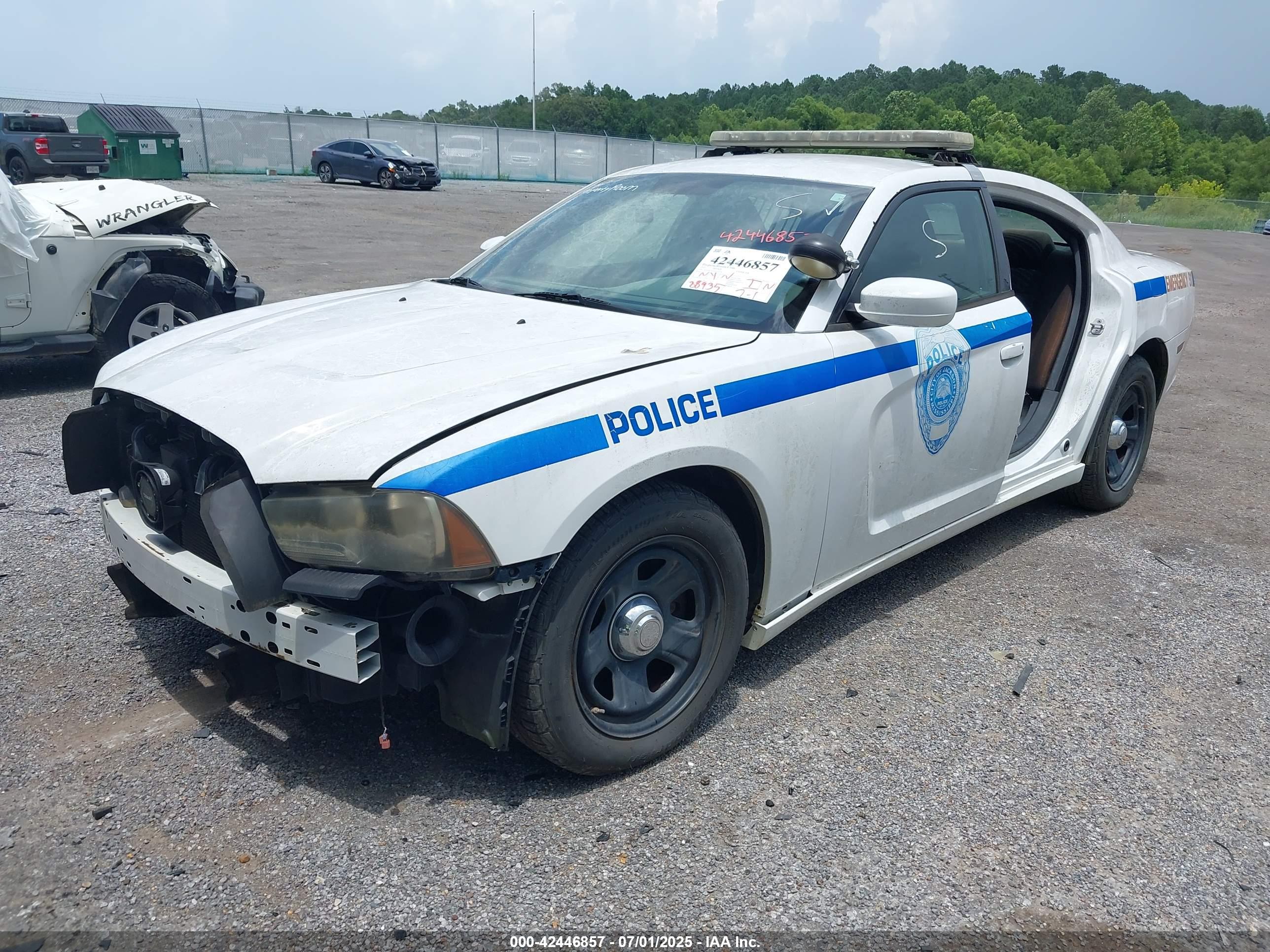 DODGE CHARGER image 2