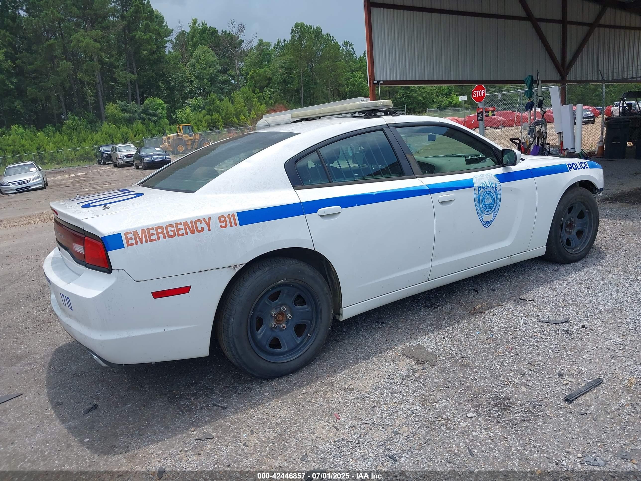 DODGE CHARGER image 4