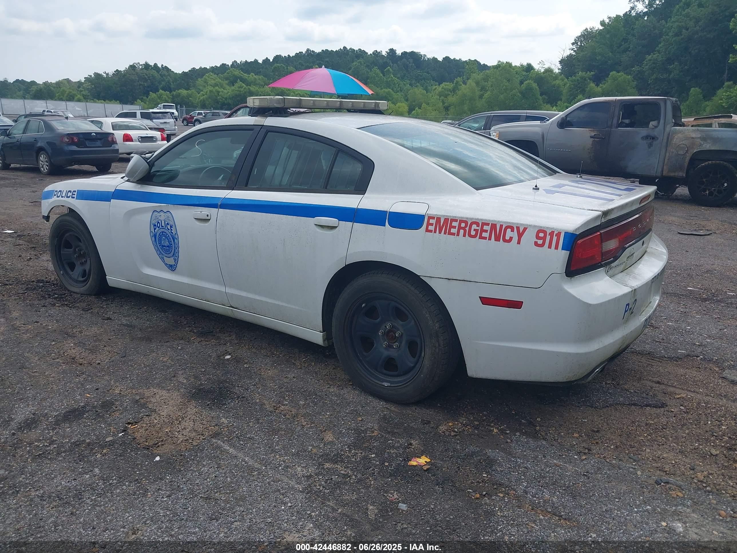 DODGE CHARGER image 3