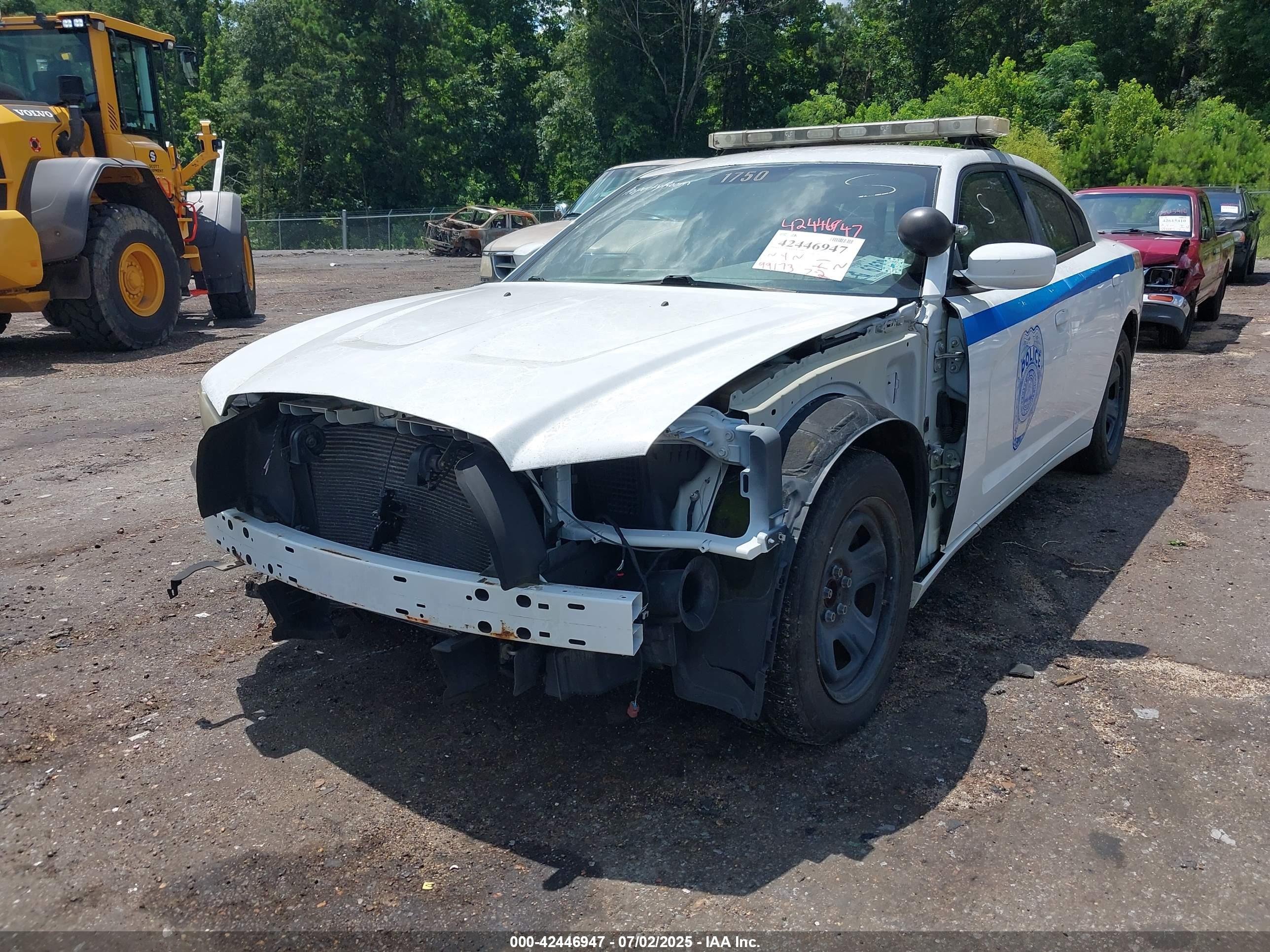 DODGE CHARGER image 6