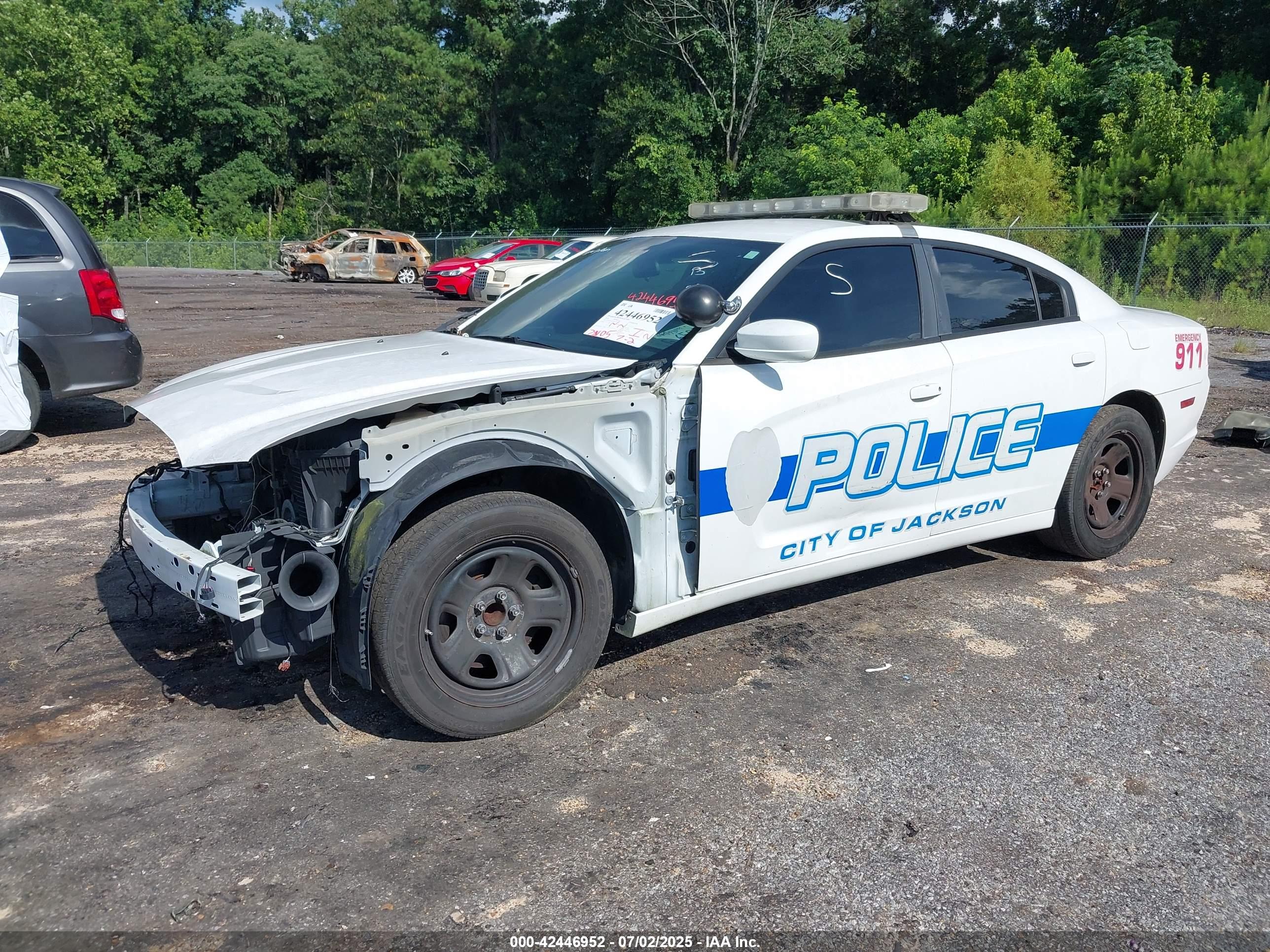 DODGE CHARGER image 2