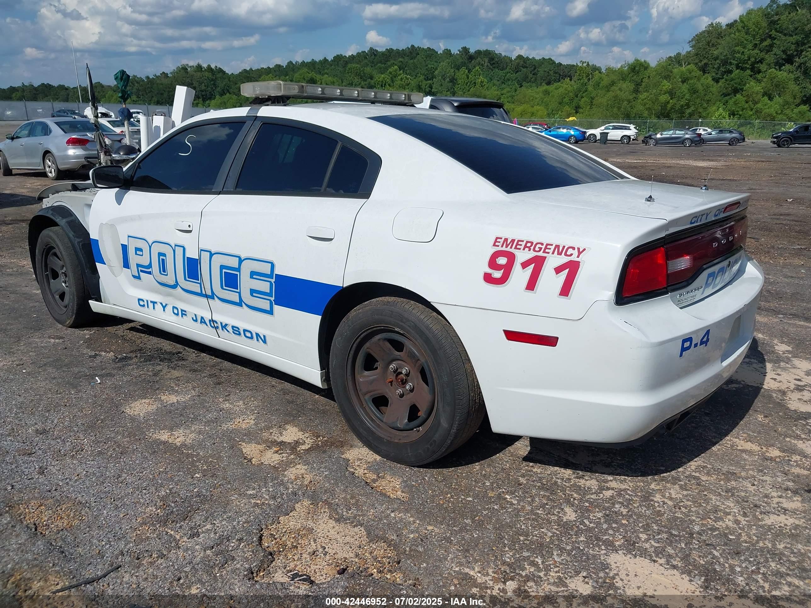 DODGE CHARGER image 3