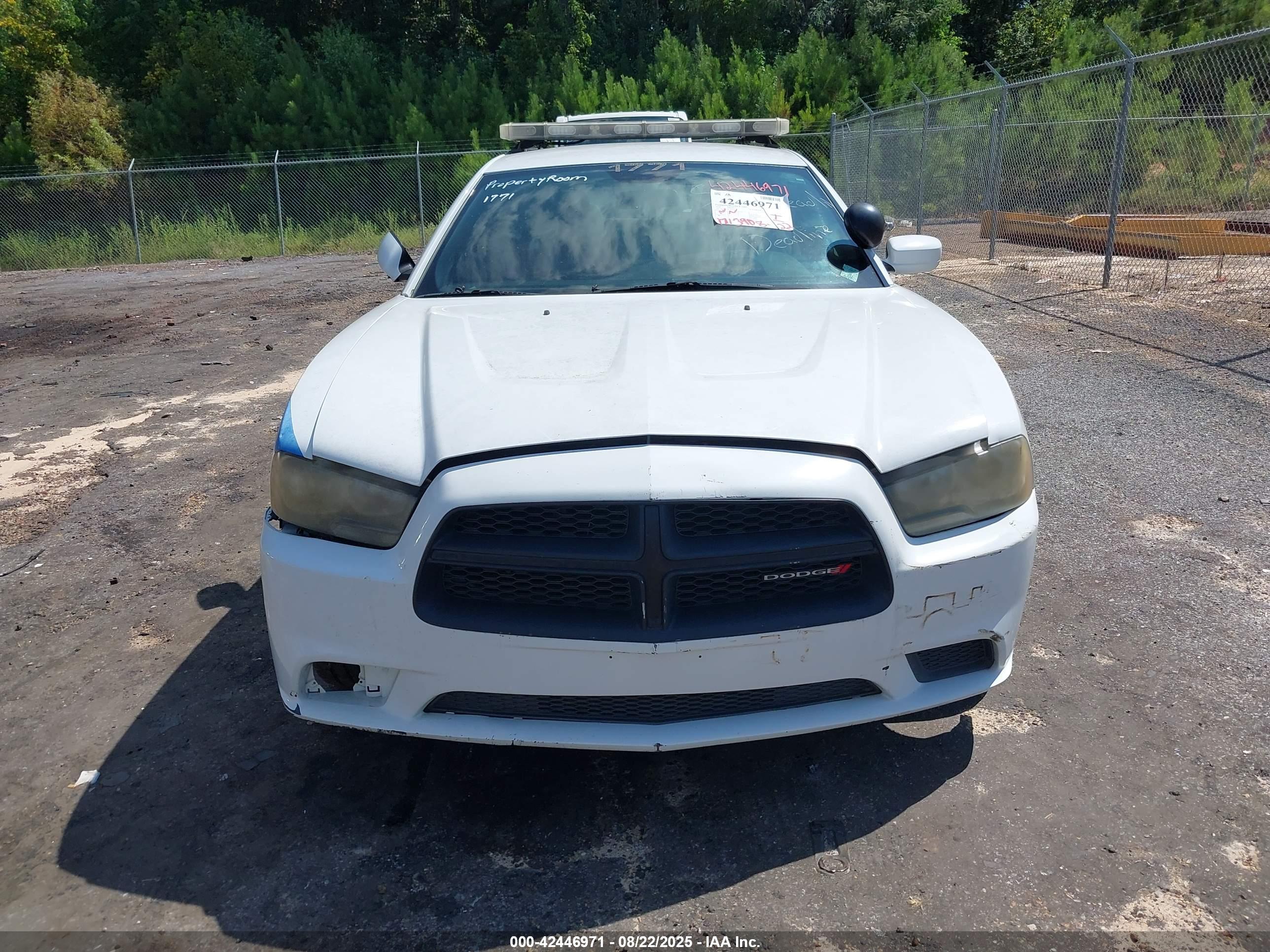 DODGE CHARGER image 6