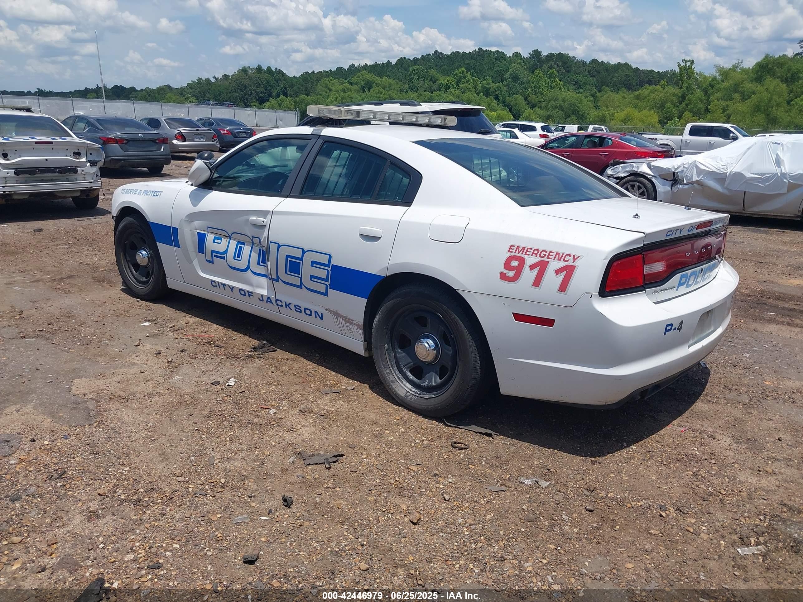 DODGE CHARGER image 3