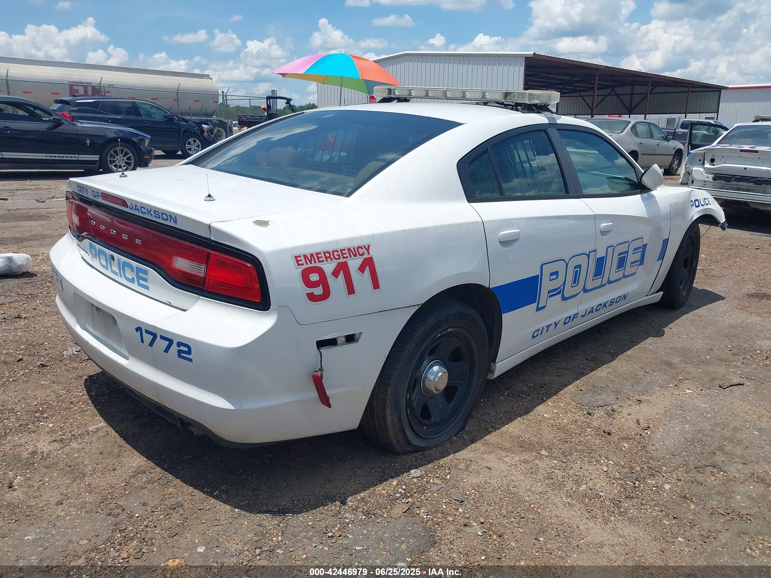 DODGE CHARGER image 4