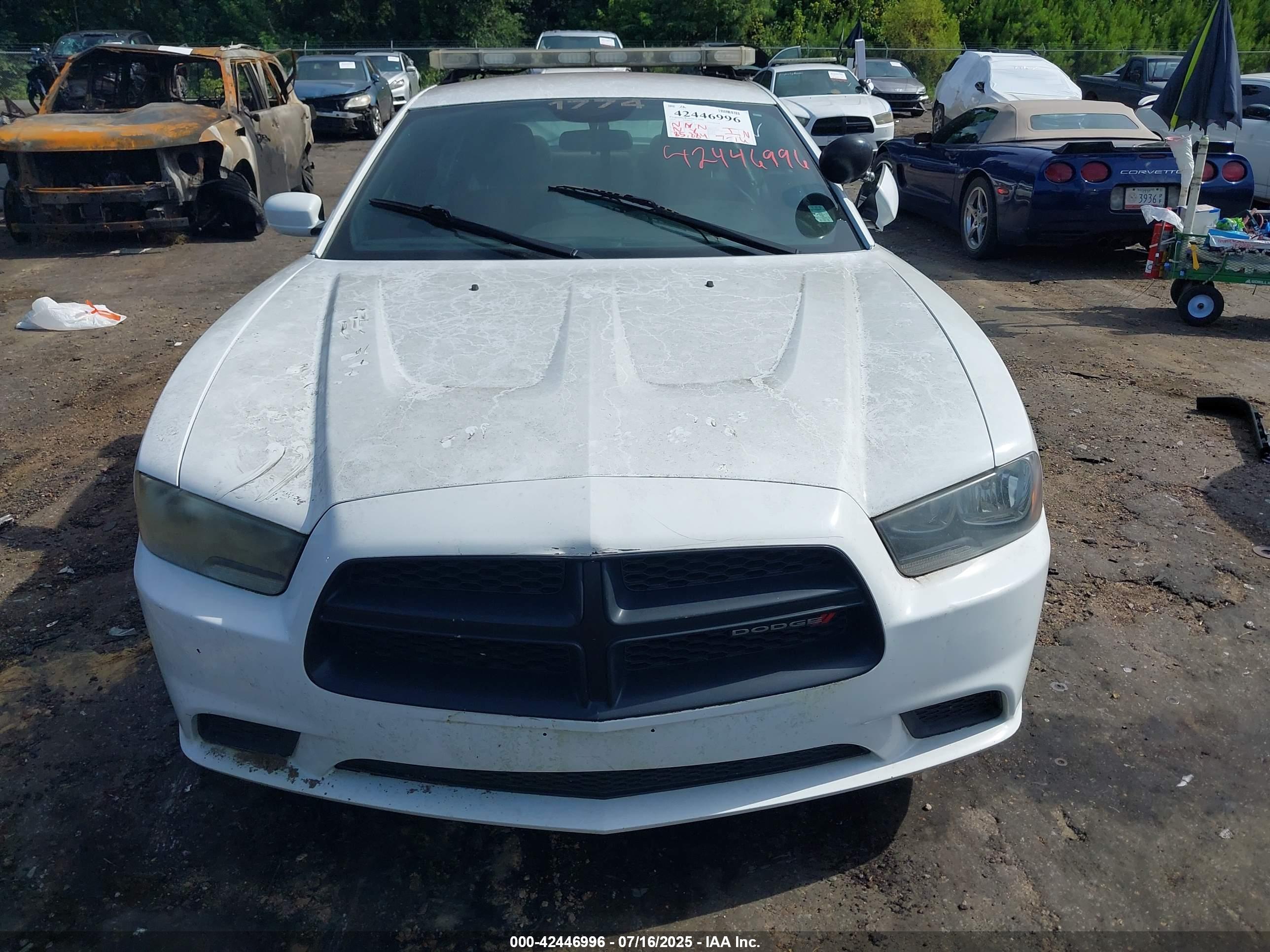 DODGE CHARGER image 6