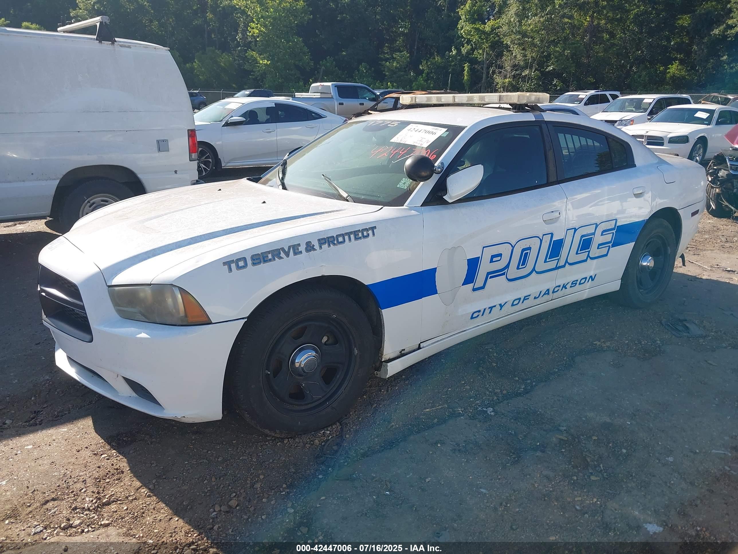 DODGE CHARGER image 2