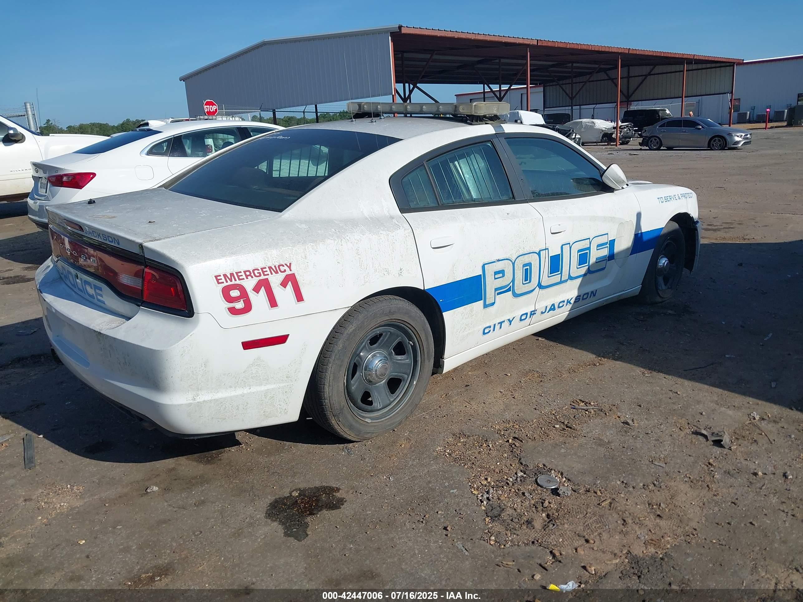 DODGE CHARGER image 4