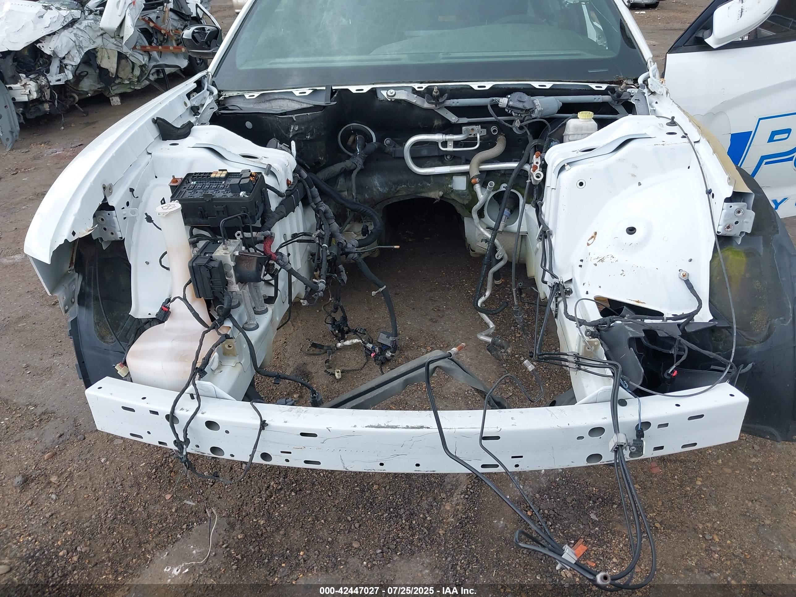 DODGE CHARGER image 10