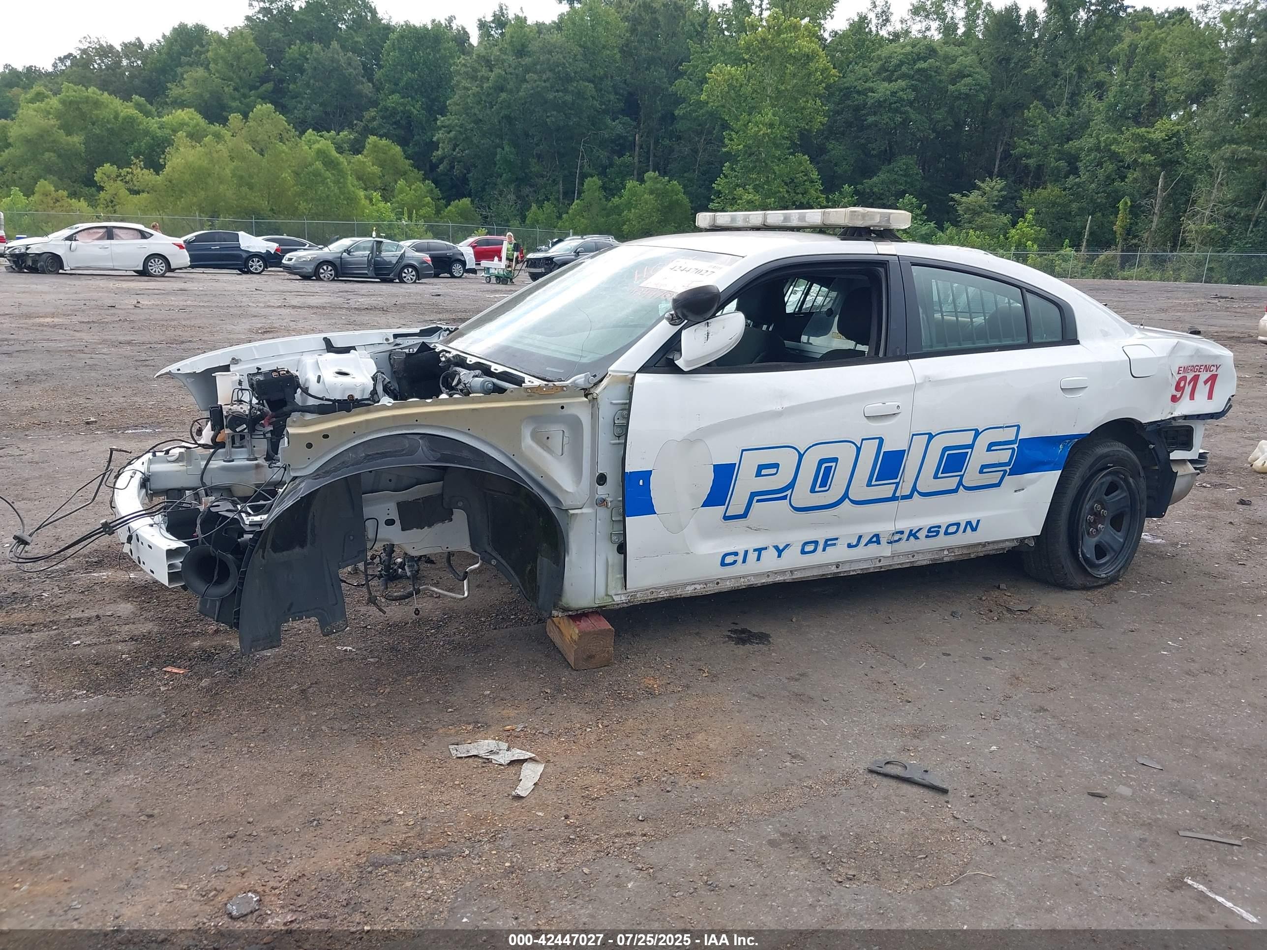 DODGE CHARGER image 6