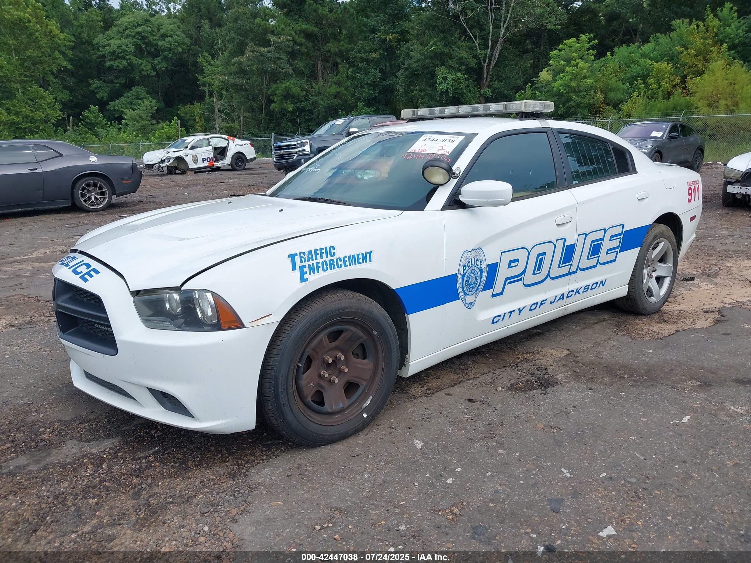 DODGE CHARGER image 2