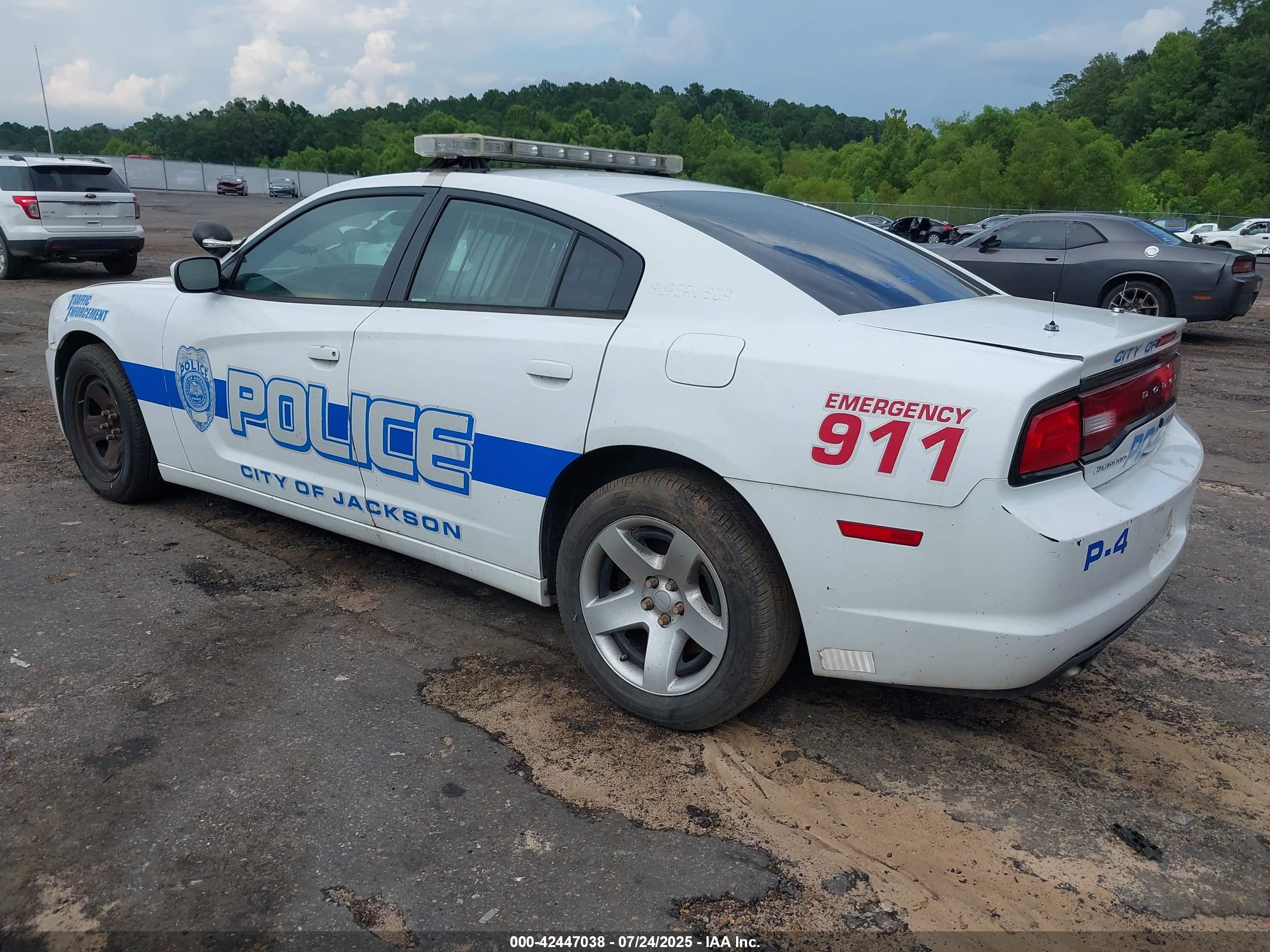 DODGE CHARGER image 3