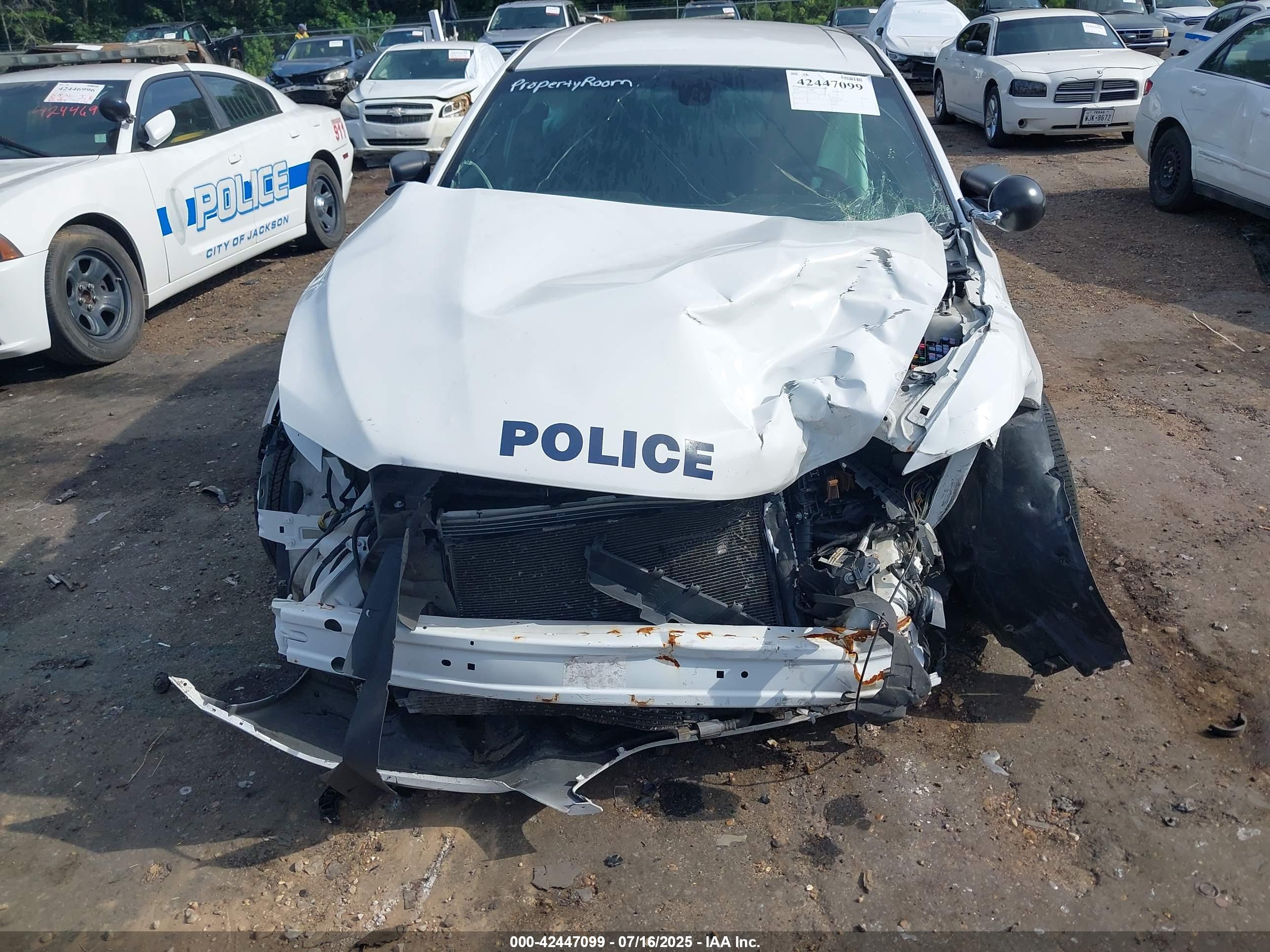 FORD POLICE image 6