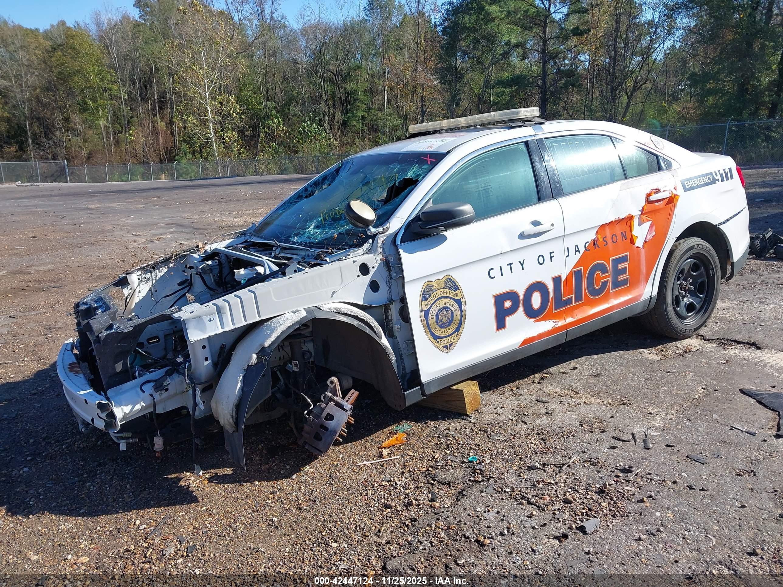 FORD POLICE image 2