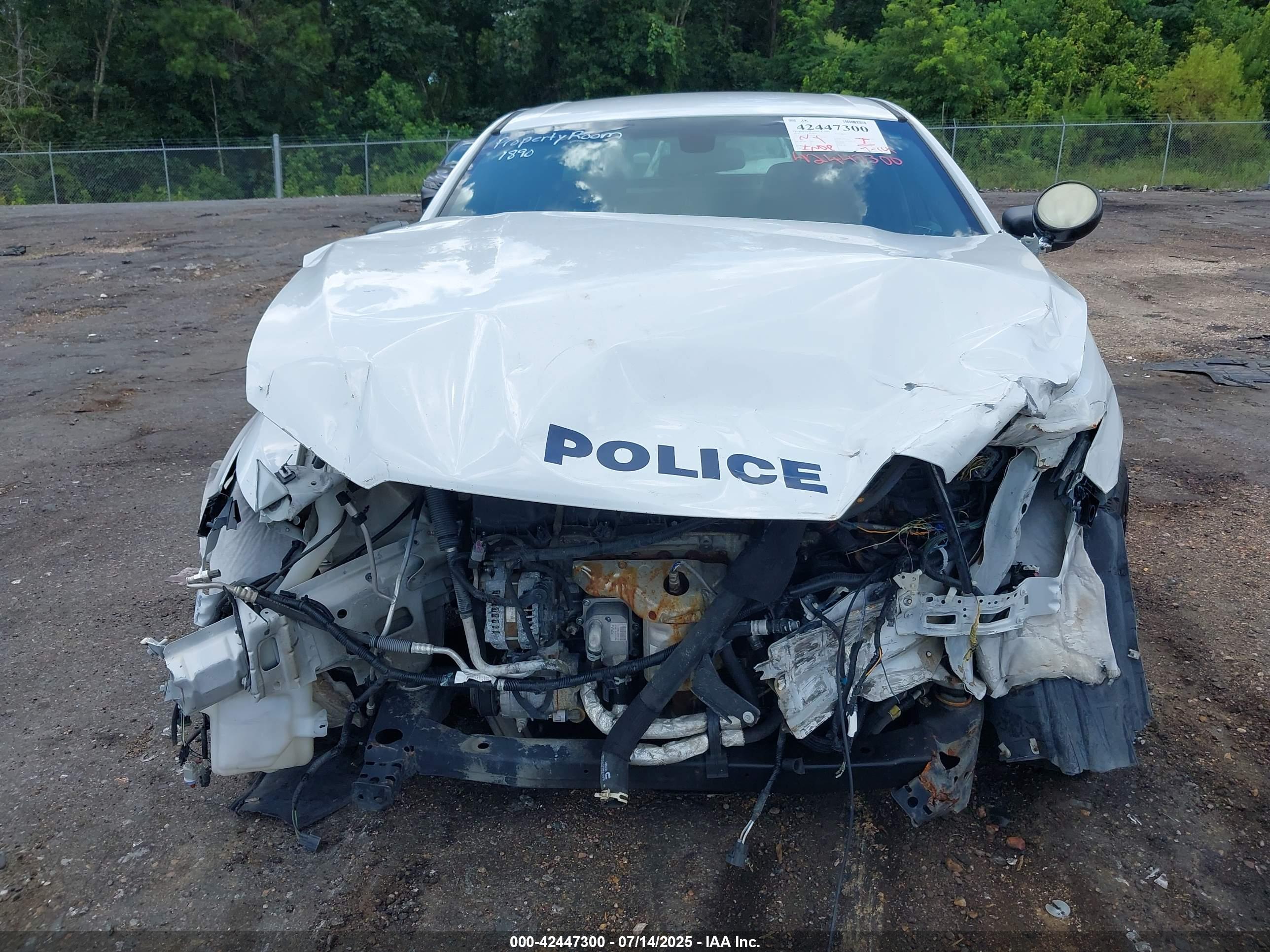 FORD POLICE image 6