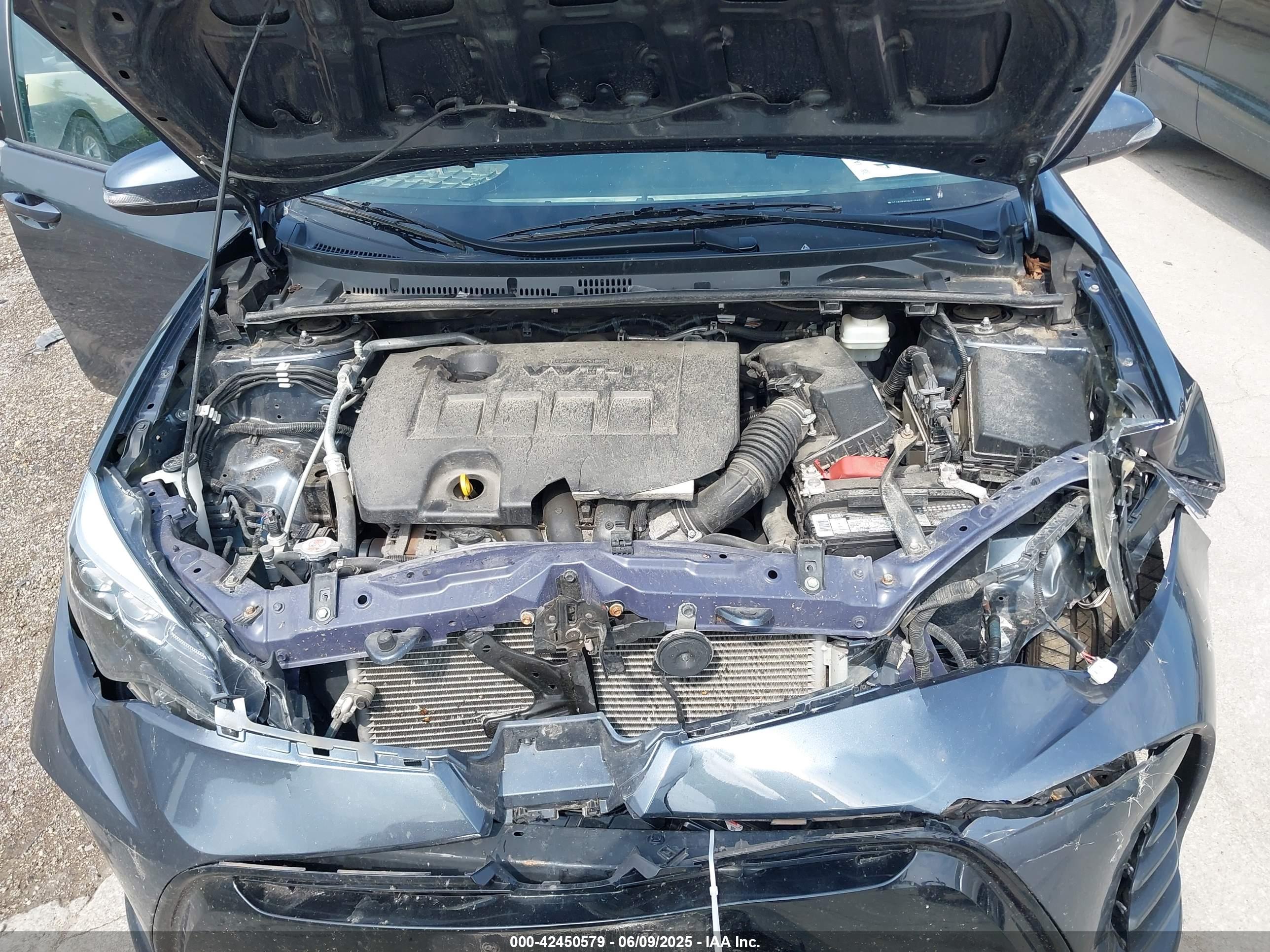 TOYOTA COROLLA image 10