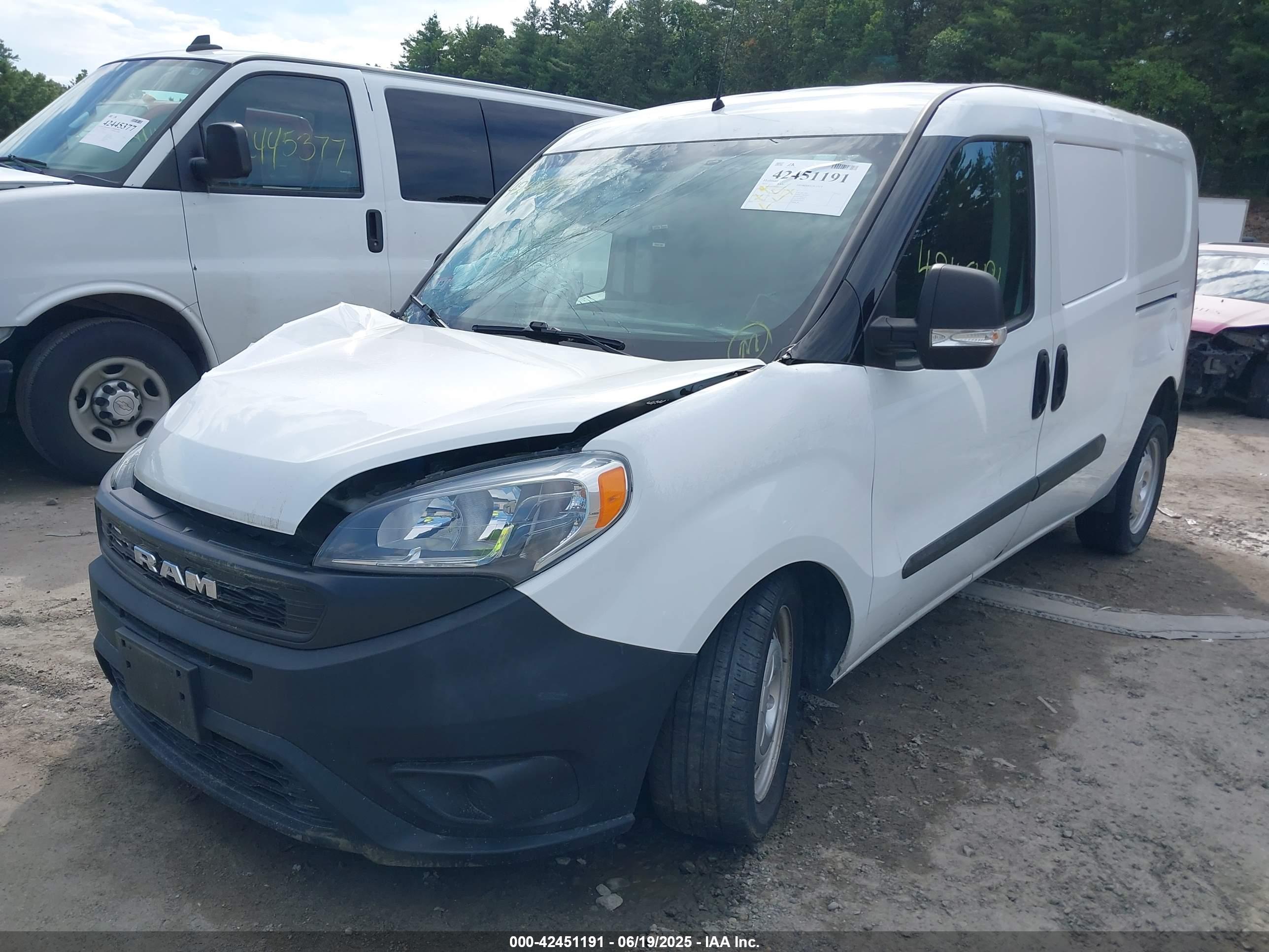 RAM PROMASTER image 2