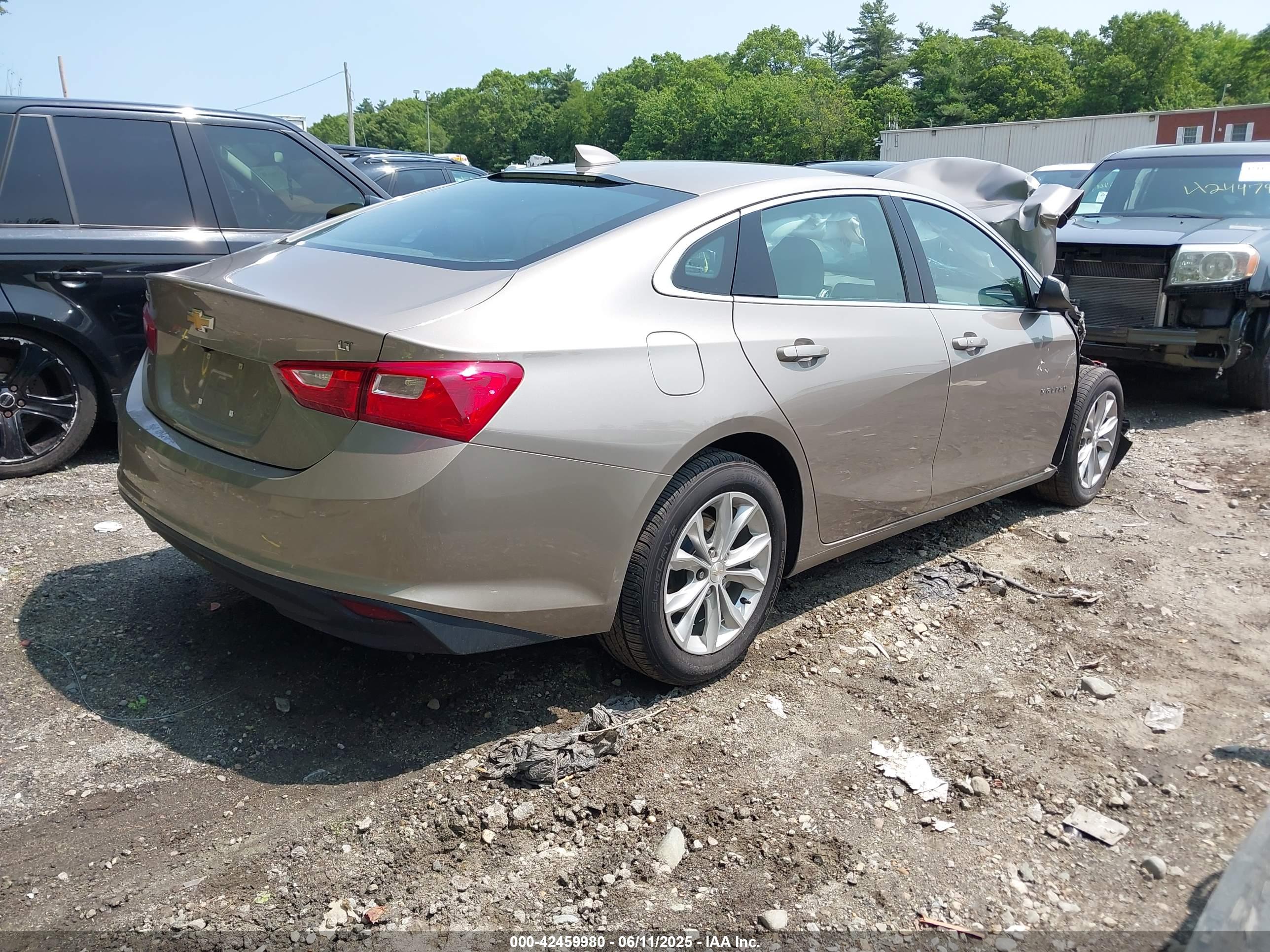 CHEVROLET MALIBU image 4